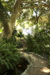 A peaceful garden area for relaxation.