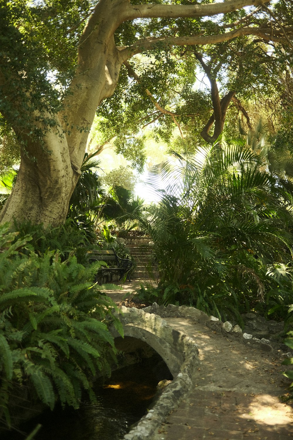 a stone bridge over a stream surrounded by trees