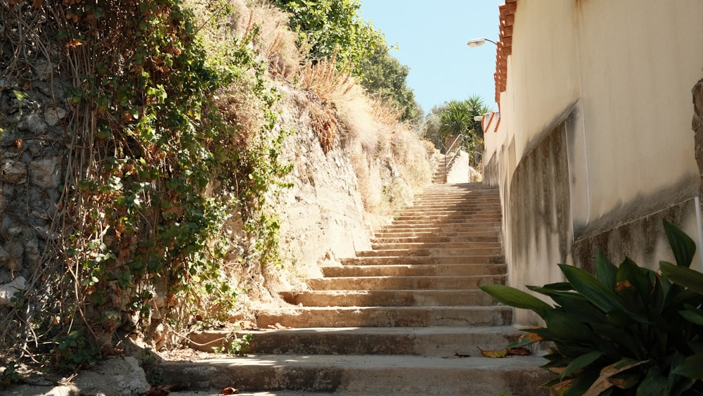 a set of stairs leading up to a building