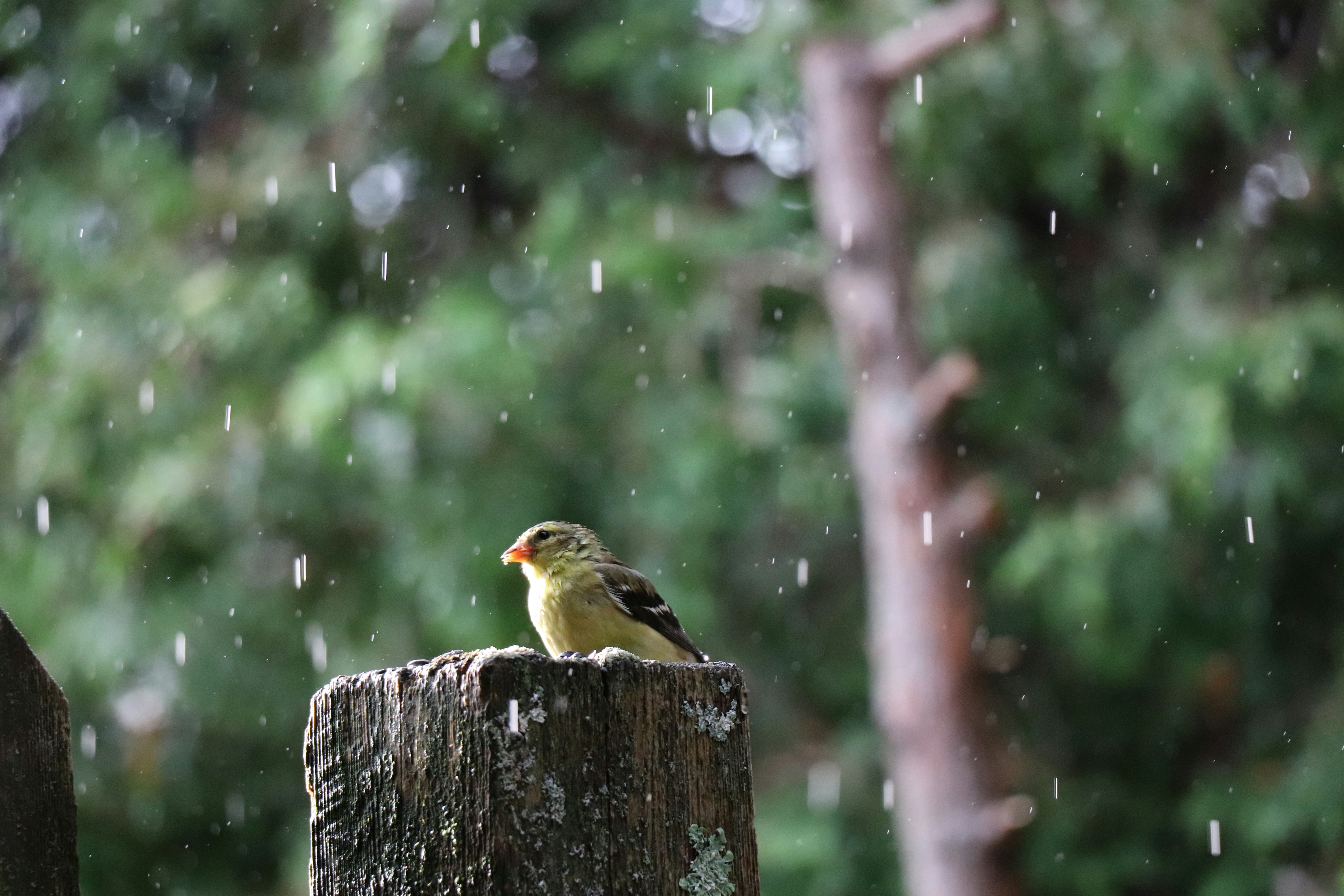 Photo by sandimagerart