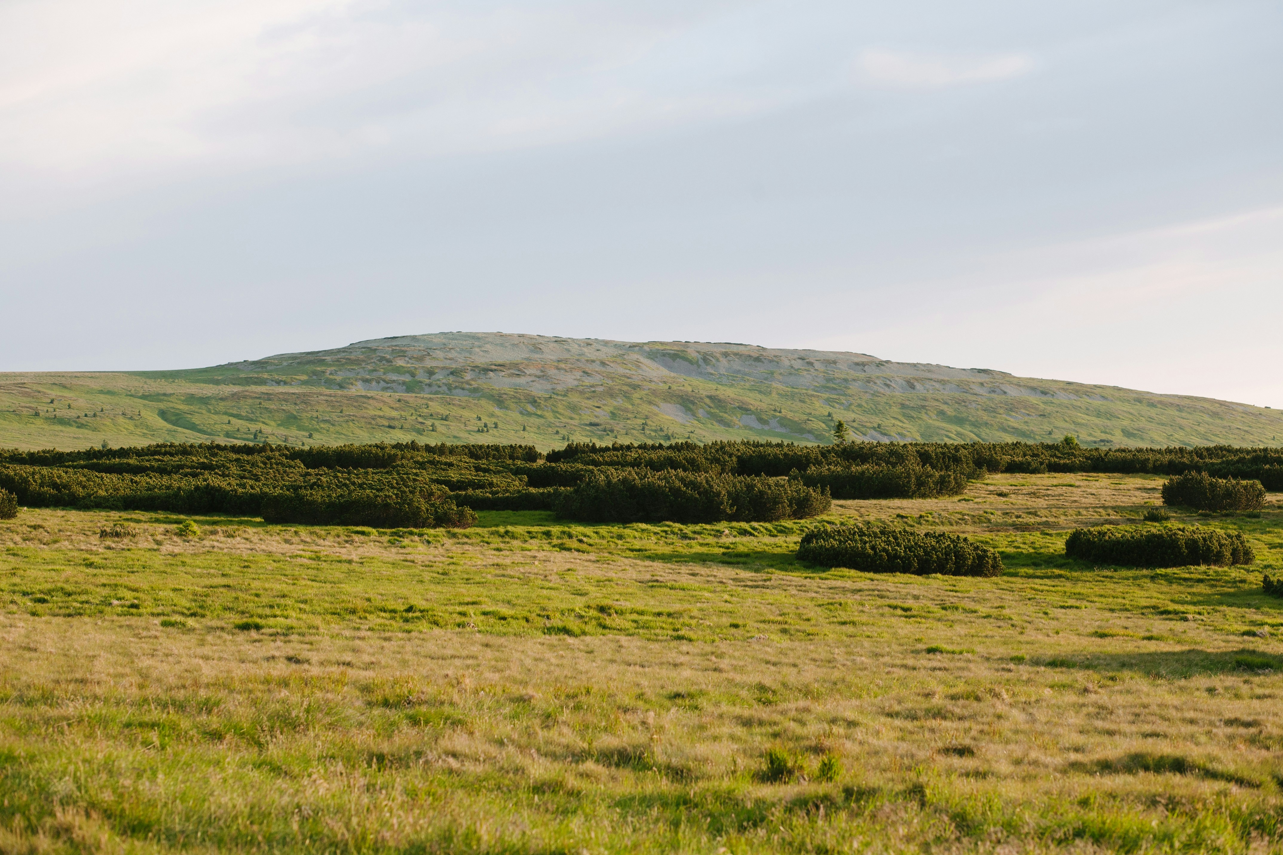 Photo by skatienstuksuma