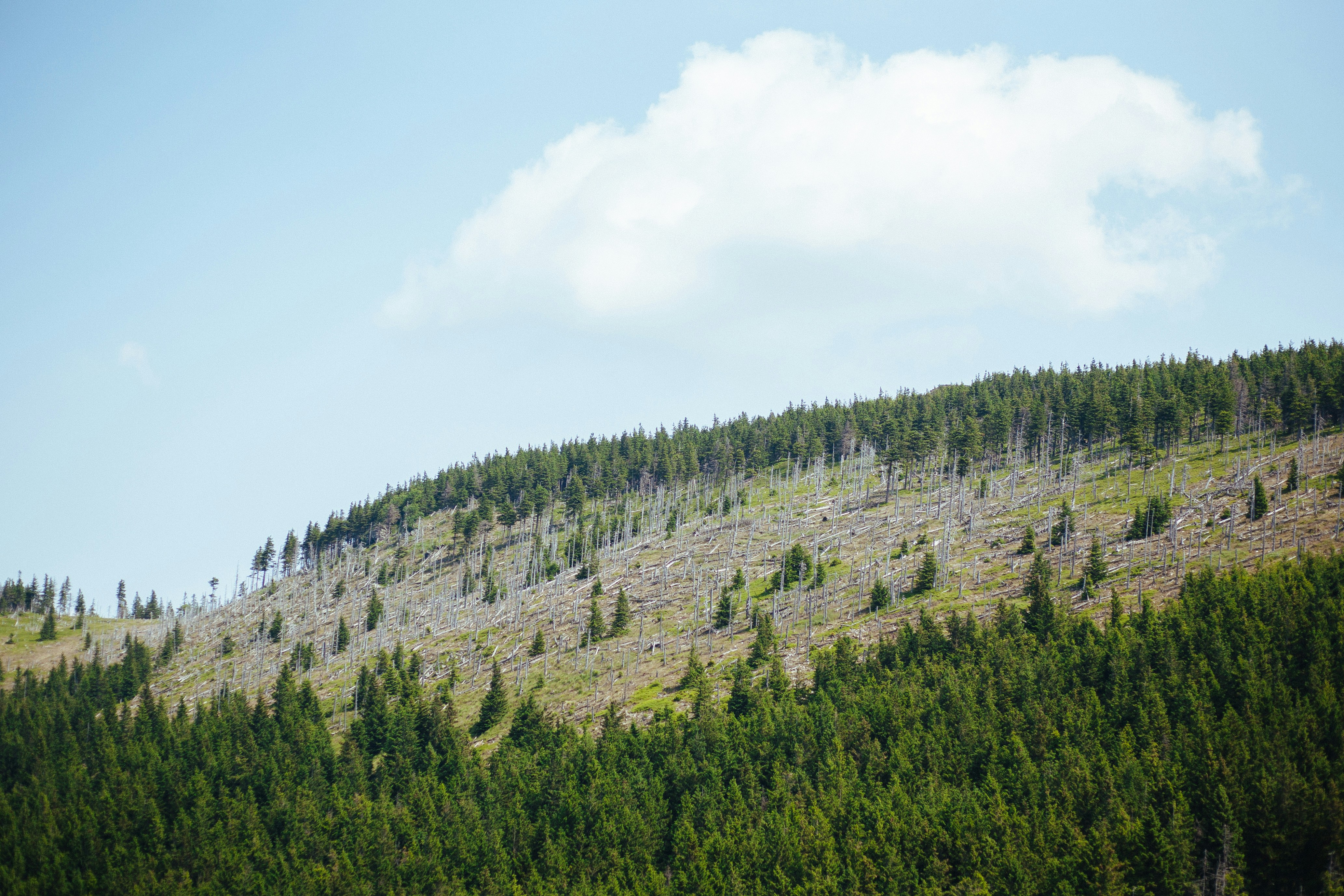 Photo by skatienstuksuma