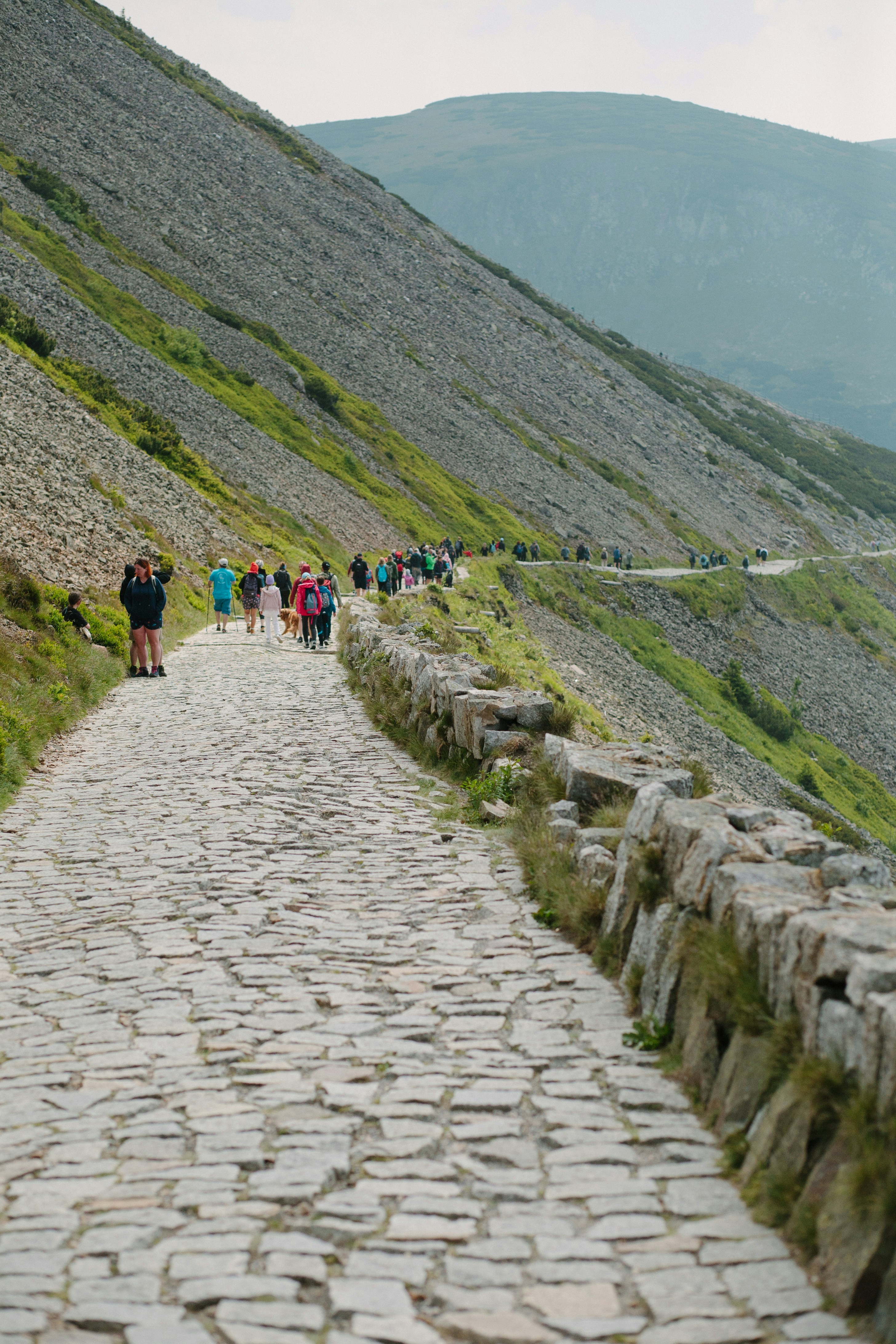 a group of people walking down a cobblestone road