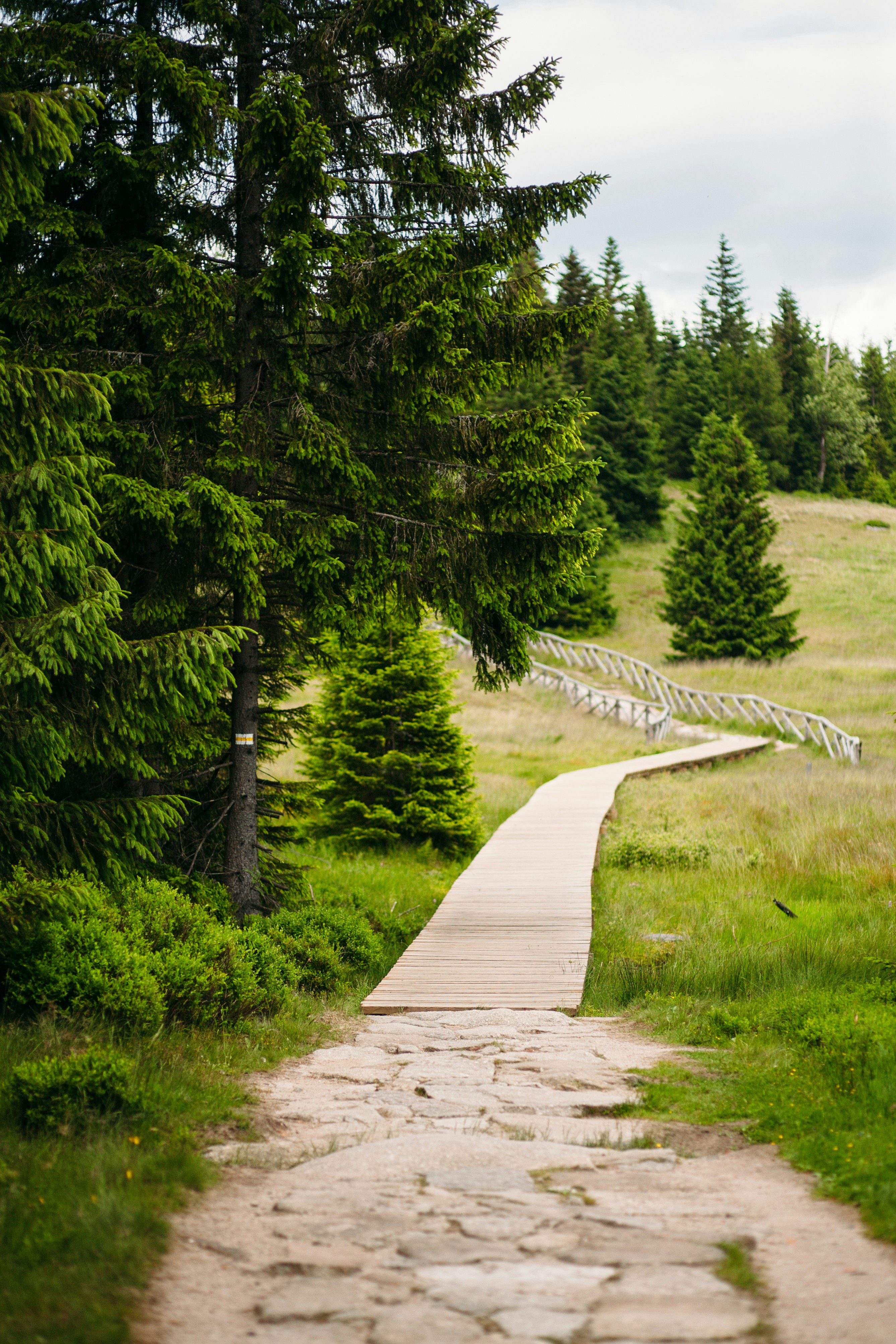 Photo by skatienstuksuma