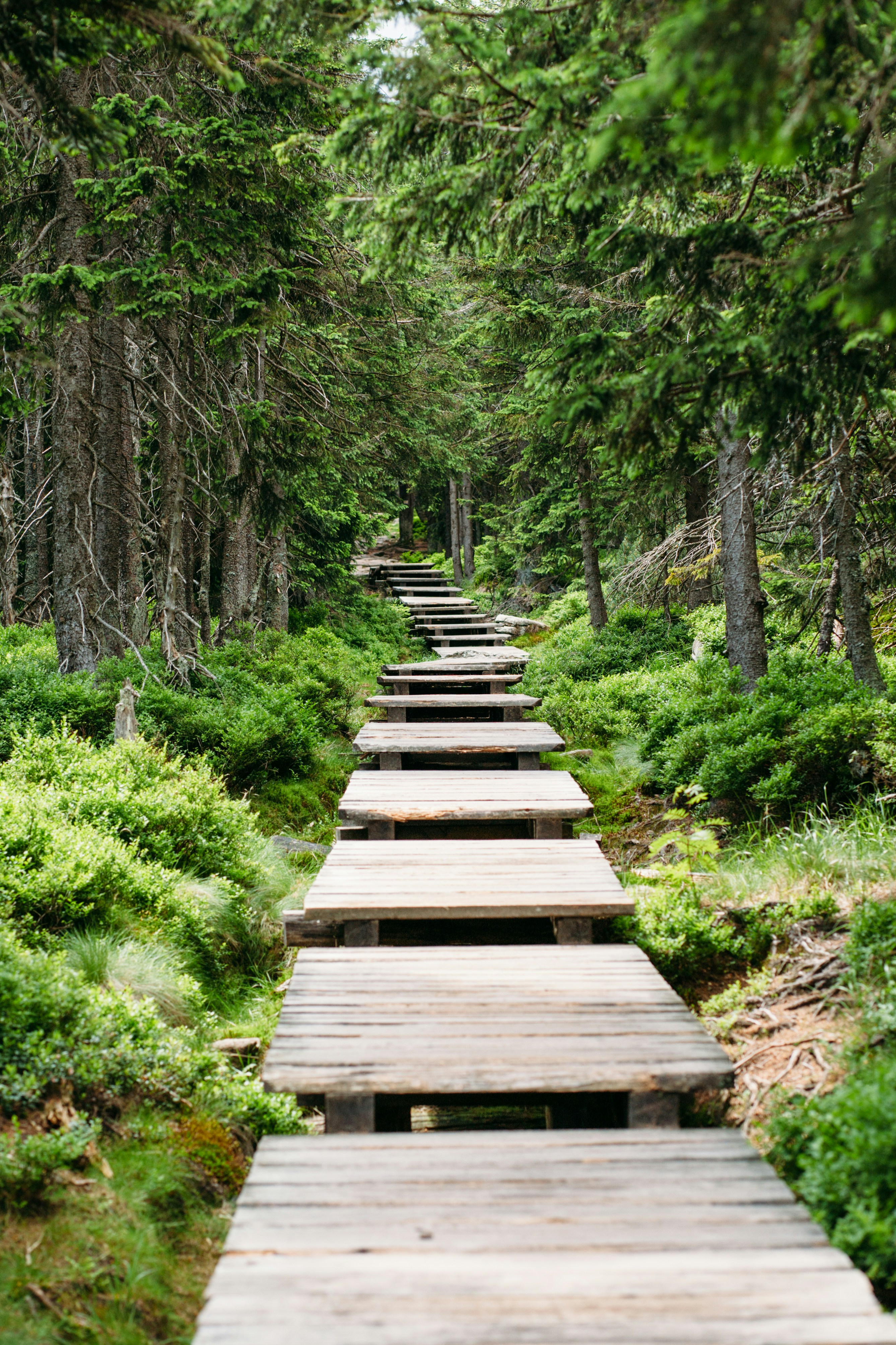 Photo by skatienstuksuma