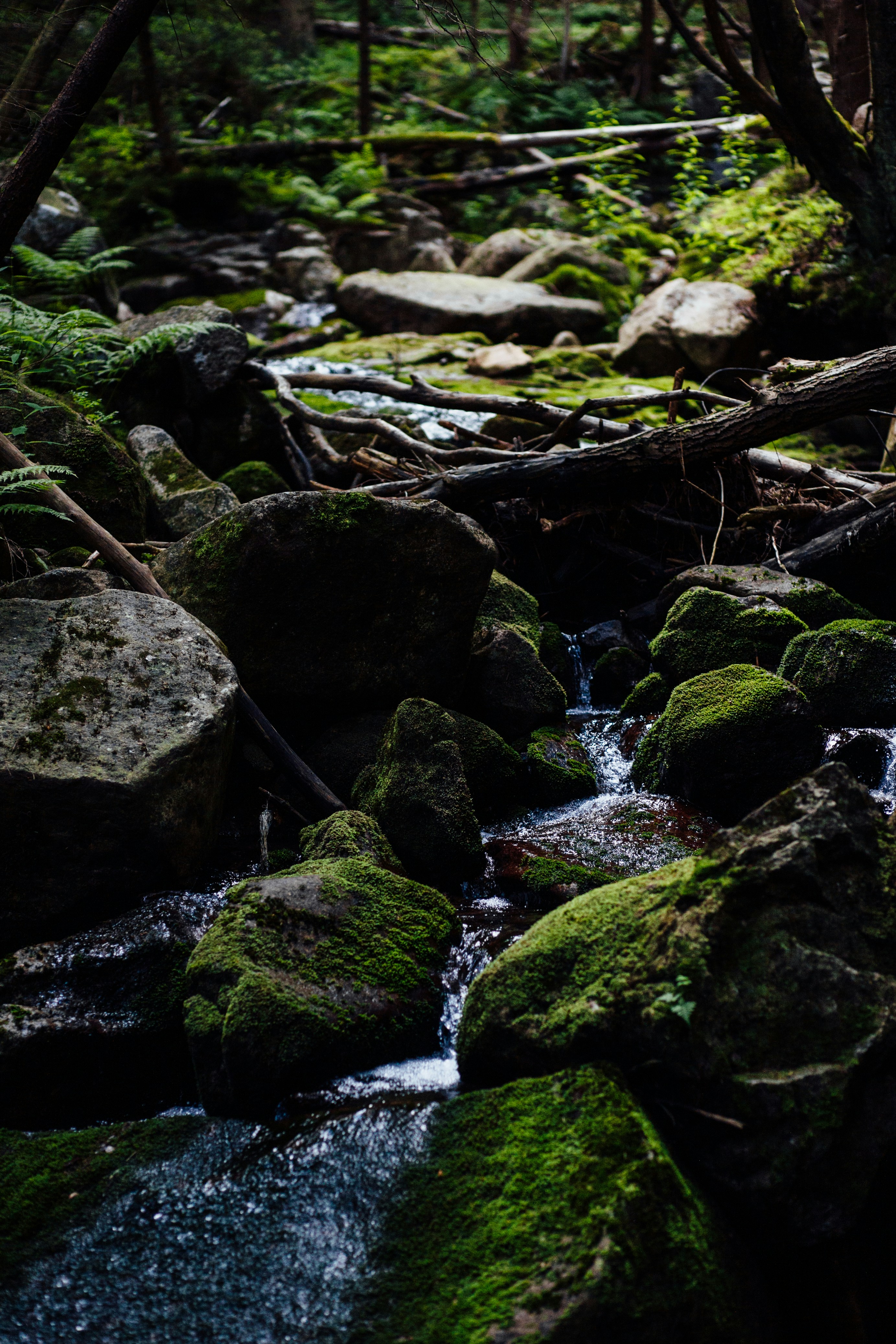 Photo by skatienstuksuma