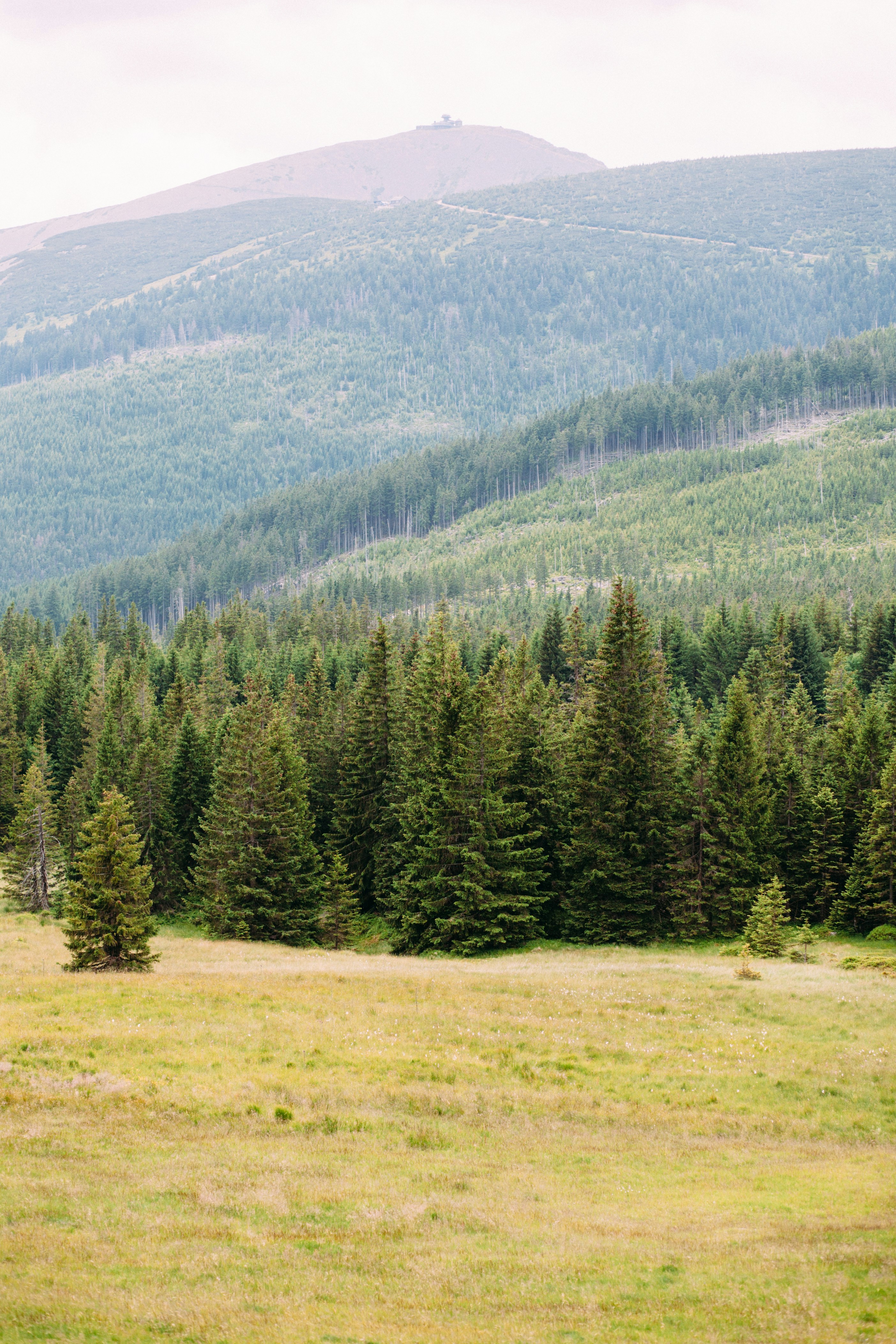 Photo by skatienstuksuma