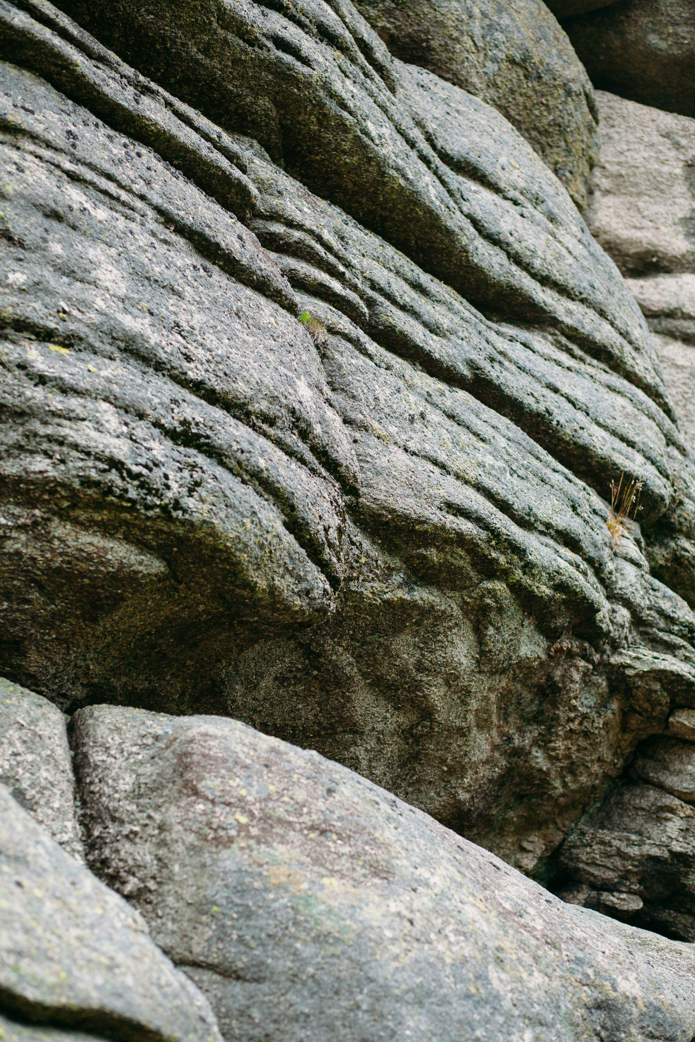 Photo by skatienstuksuma