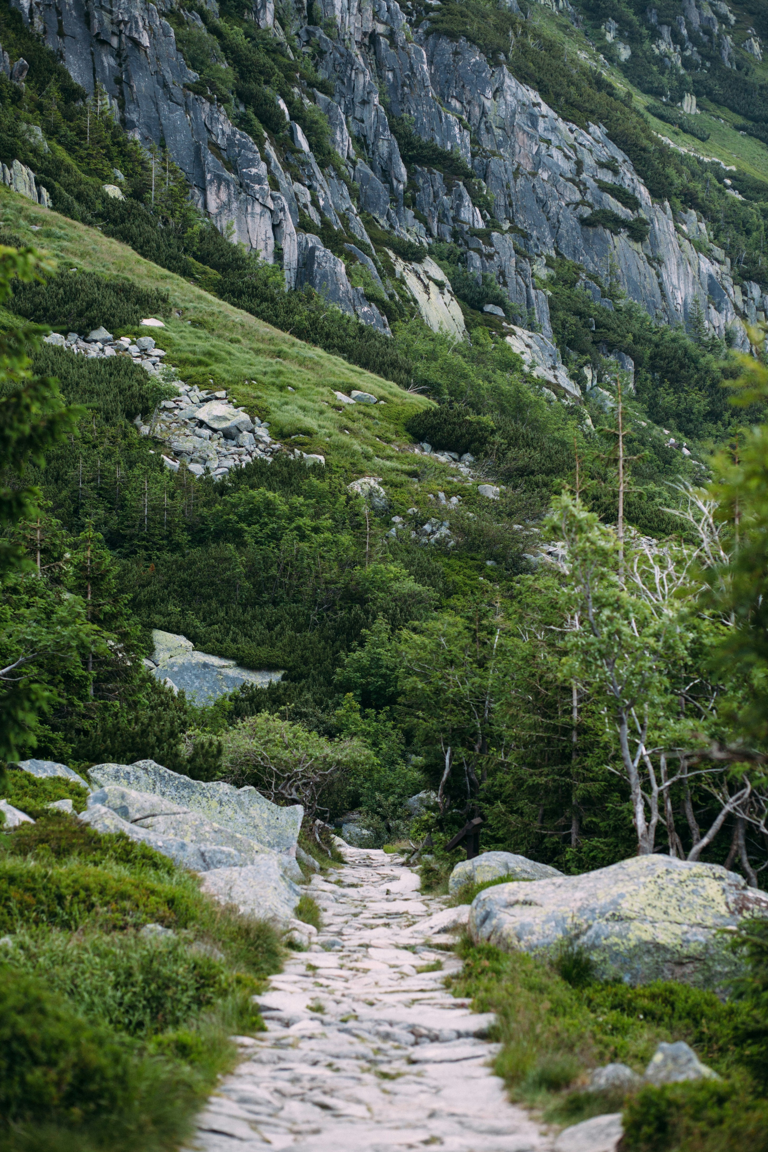 Photo by skatienstuksuma