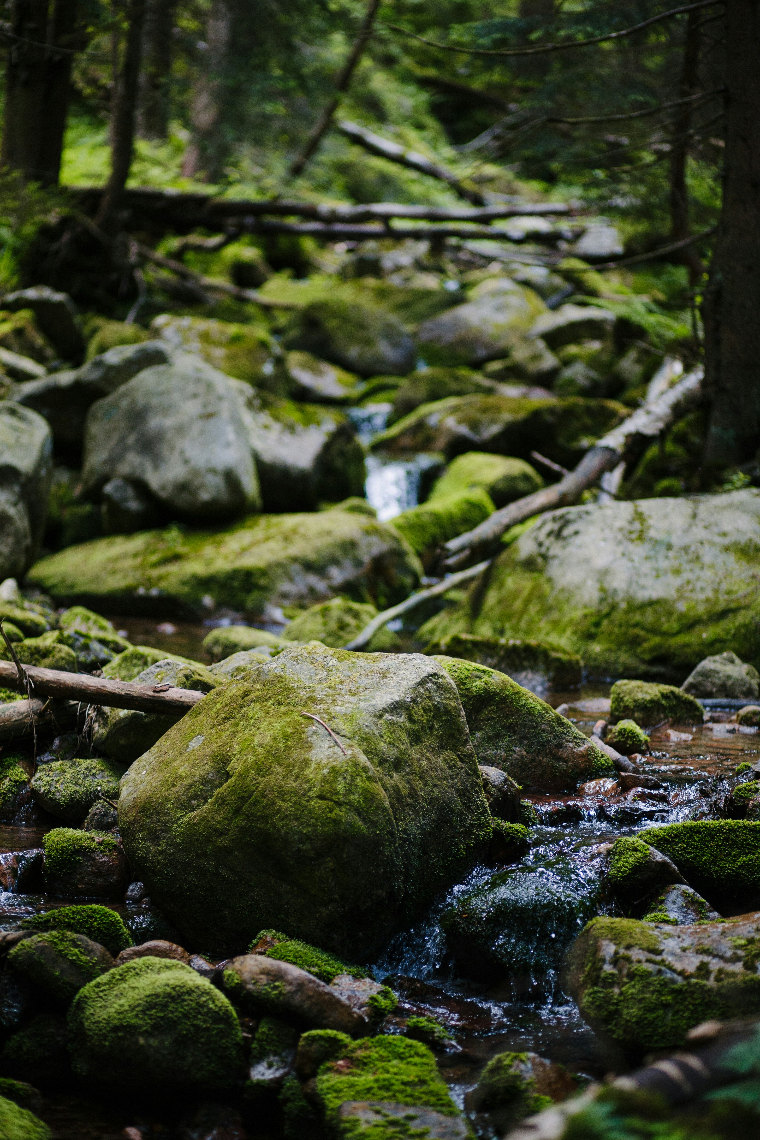 Photo by skatienstuksuma