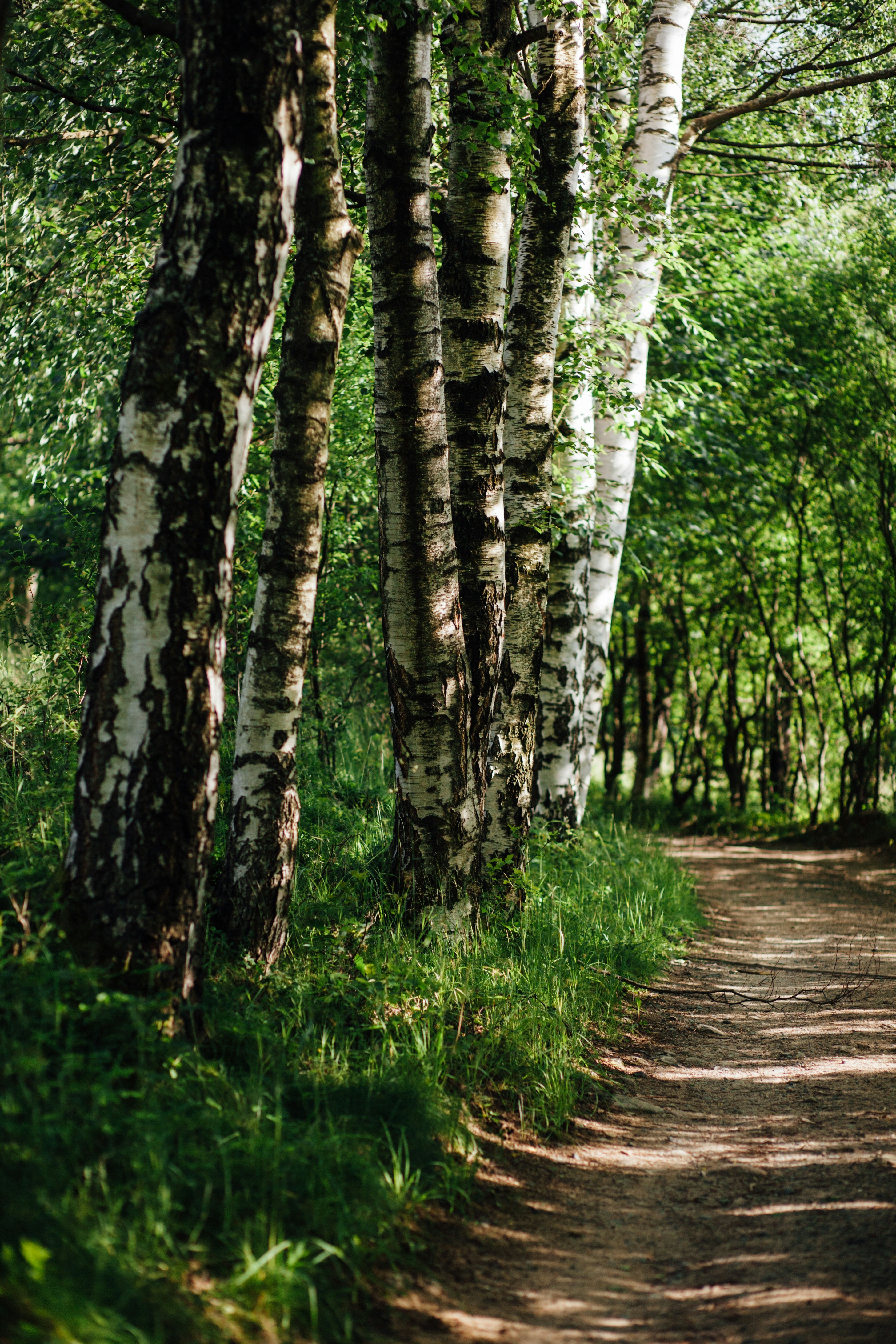 Photo by skatienstuksuma