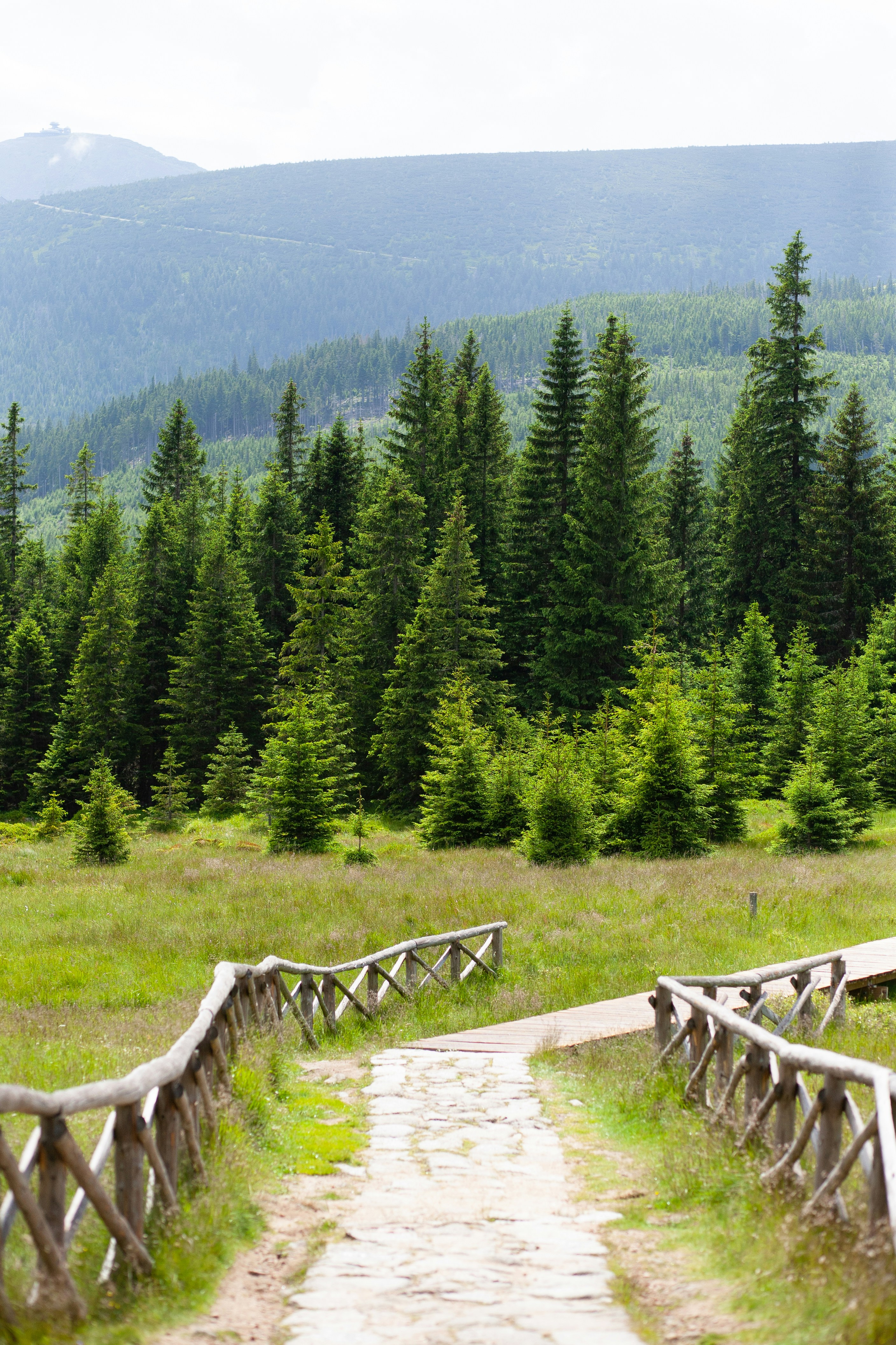 Photo by skatienstuksuma