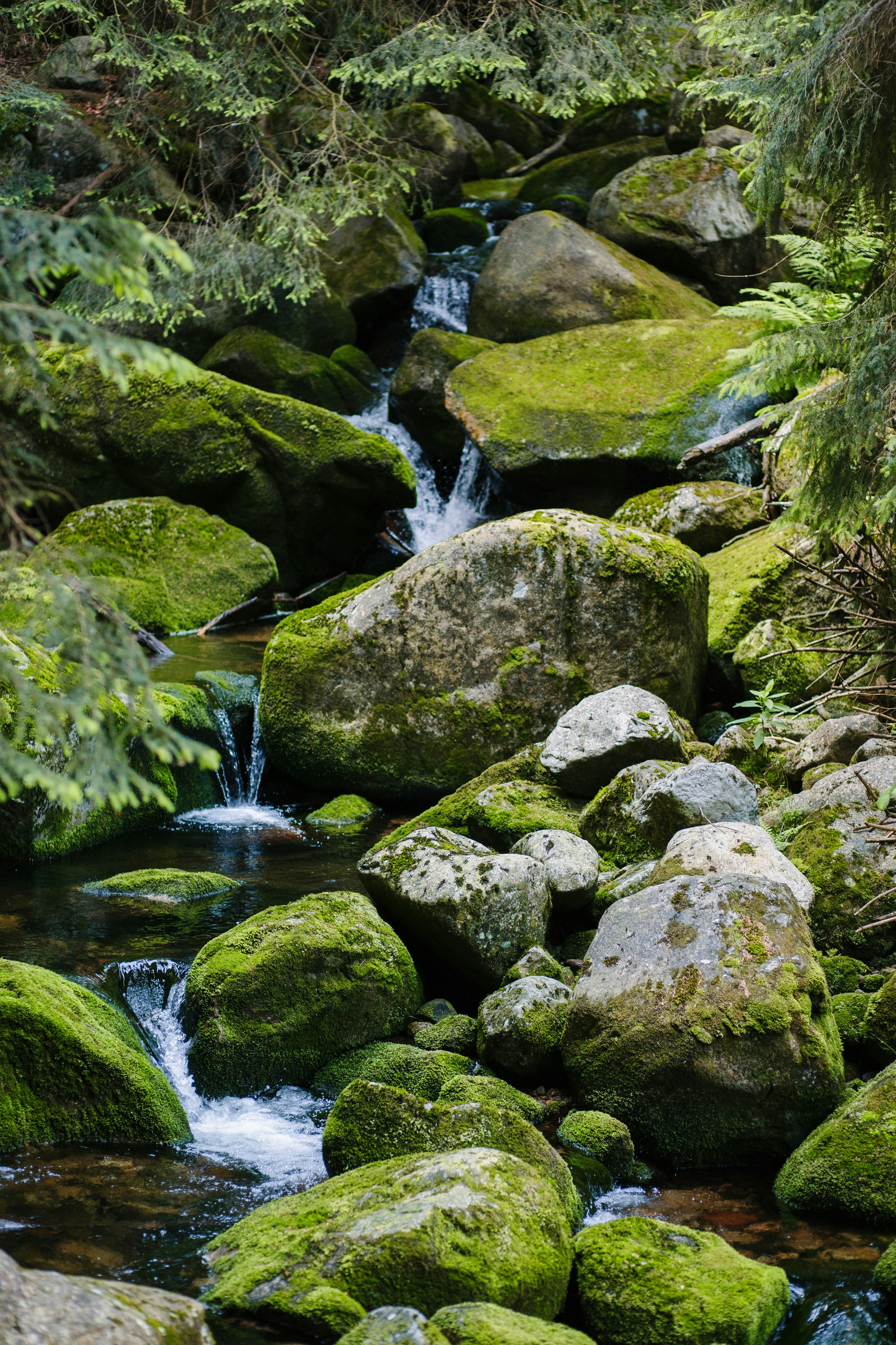 Photo by skatienstuksuma