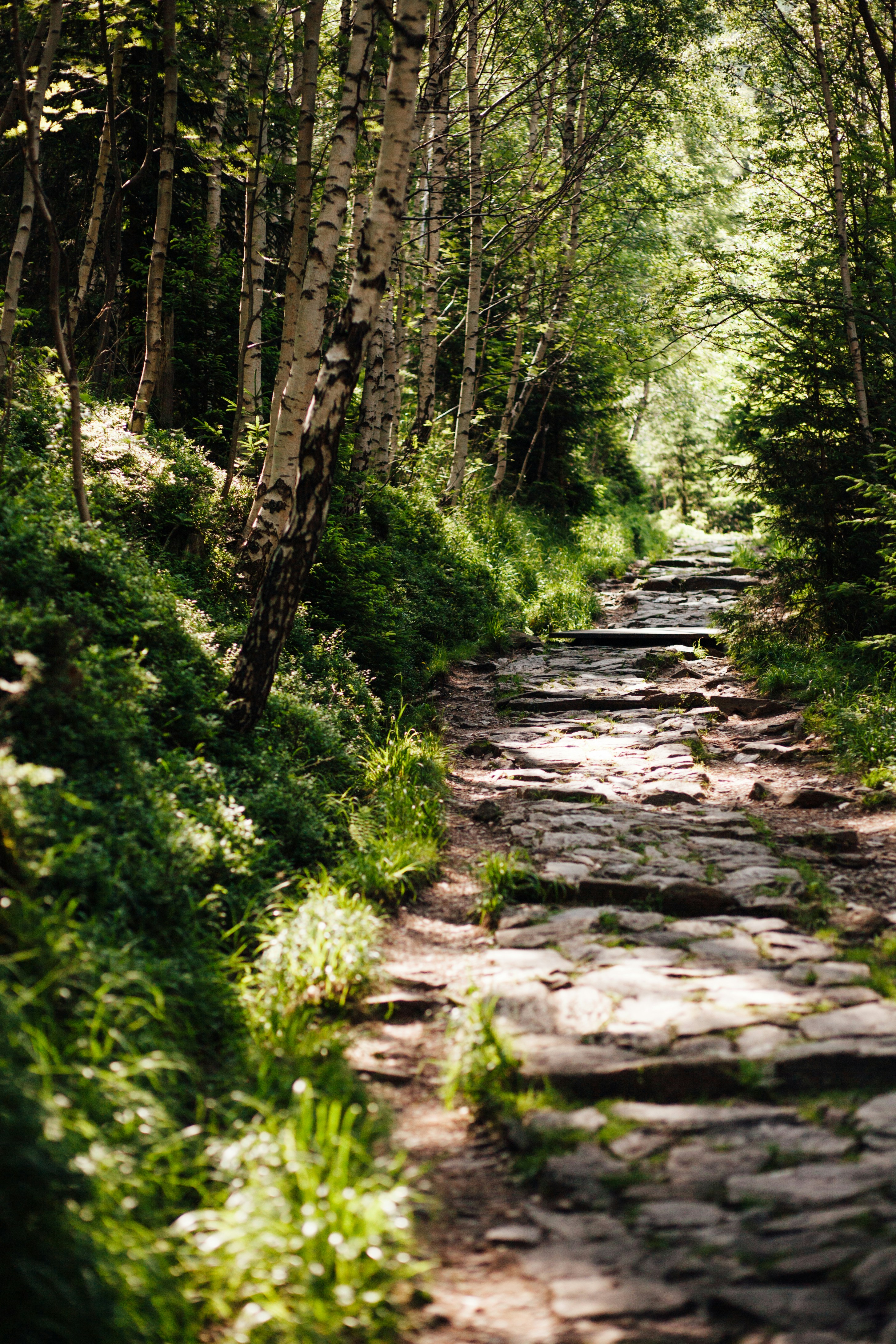 Photo by skatienstuksuma