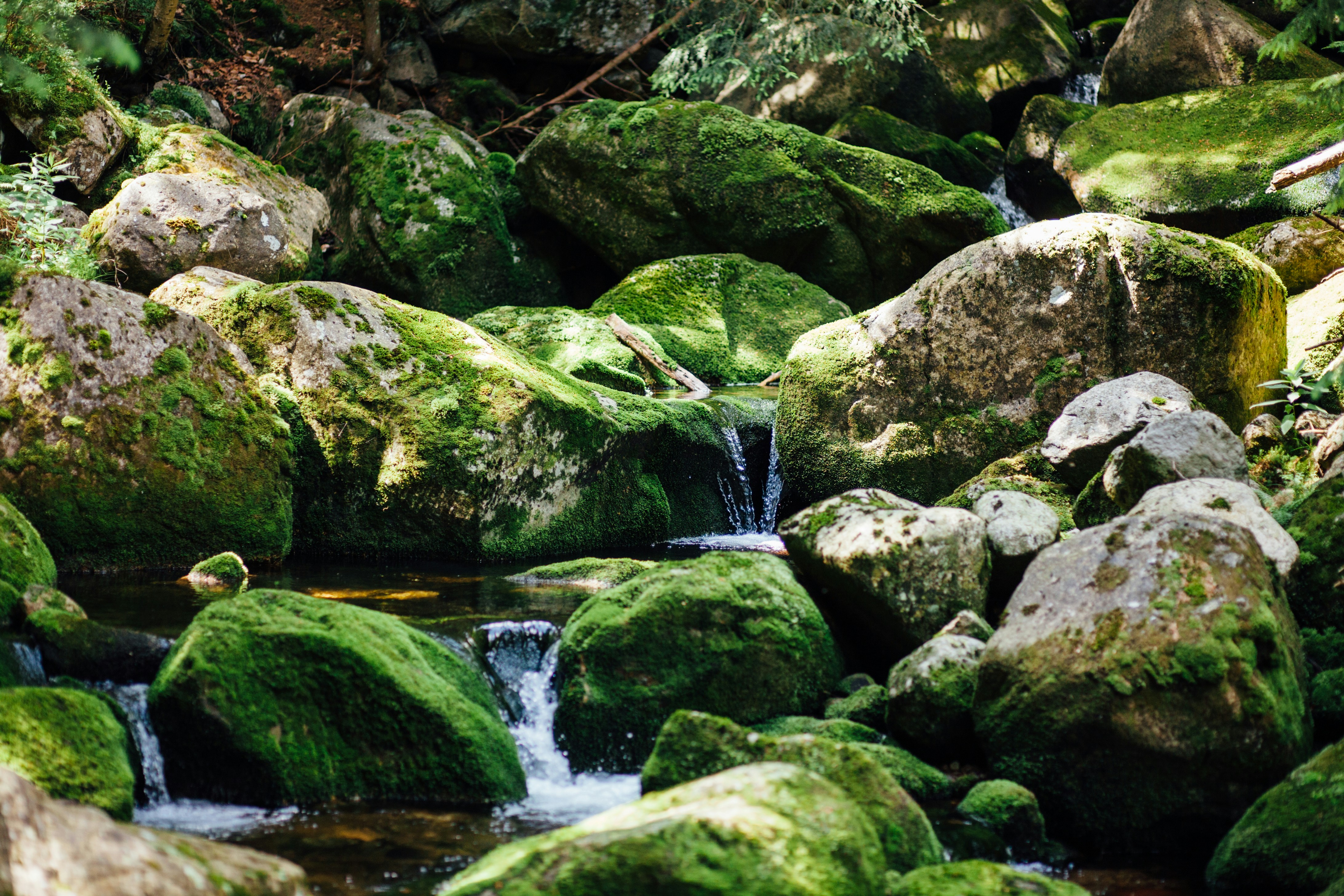 Photo by skatienstuksuma