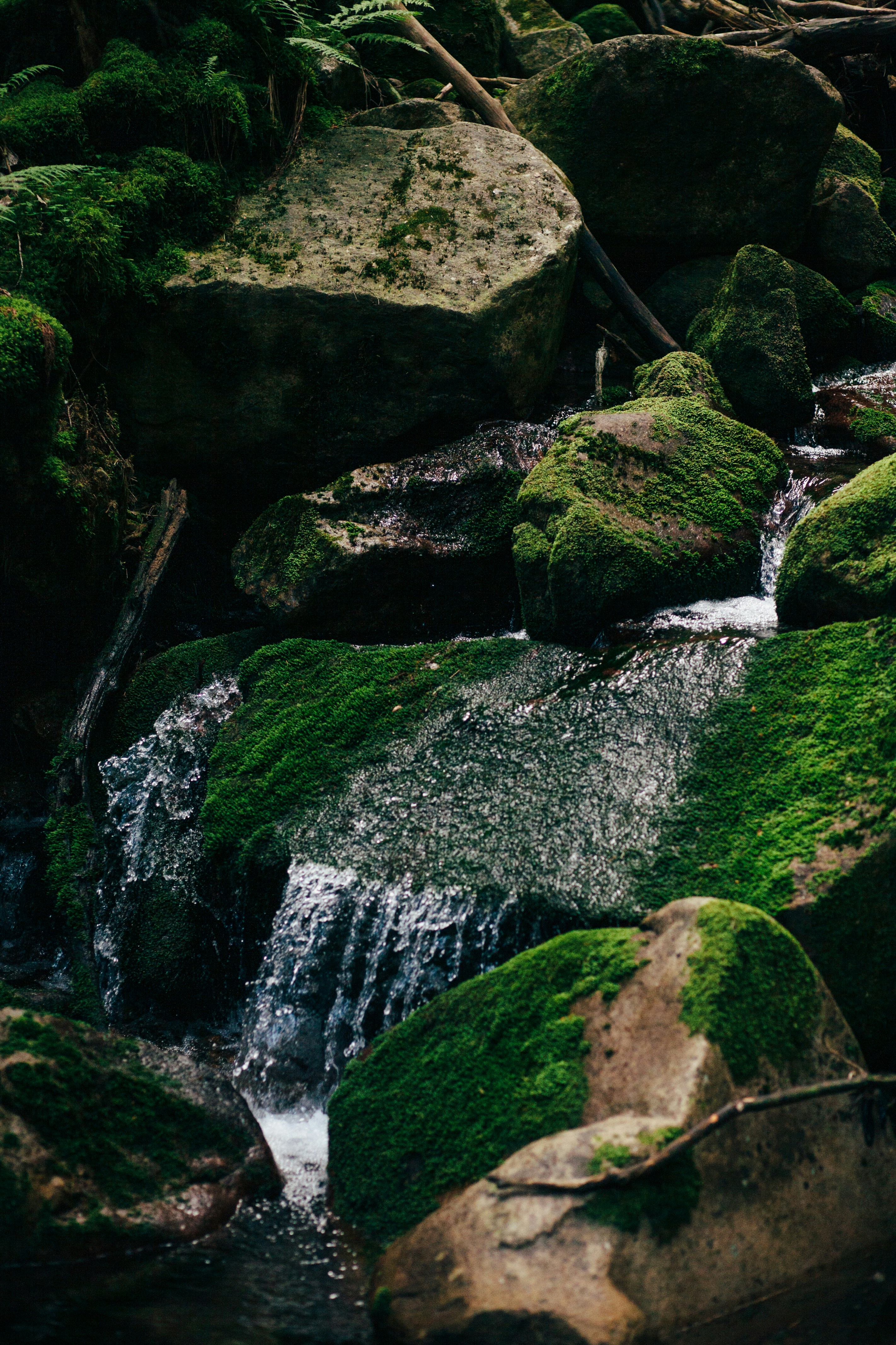 Photo by skatienstuksuma