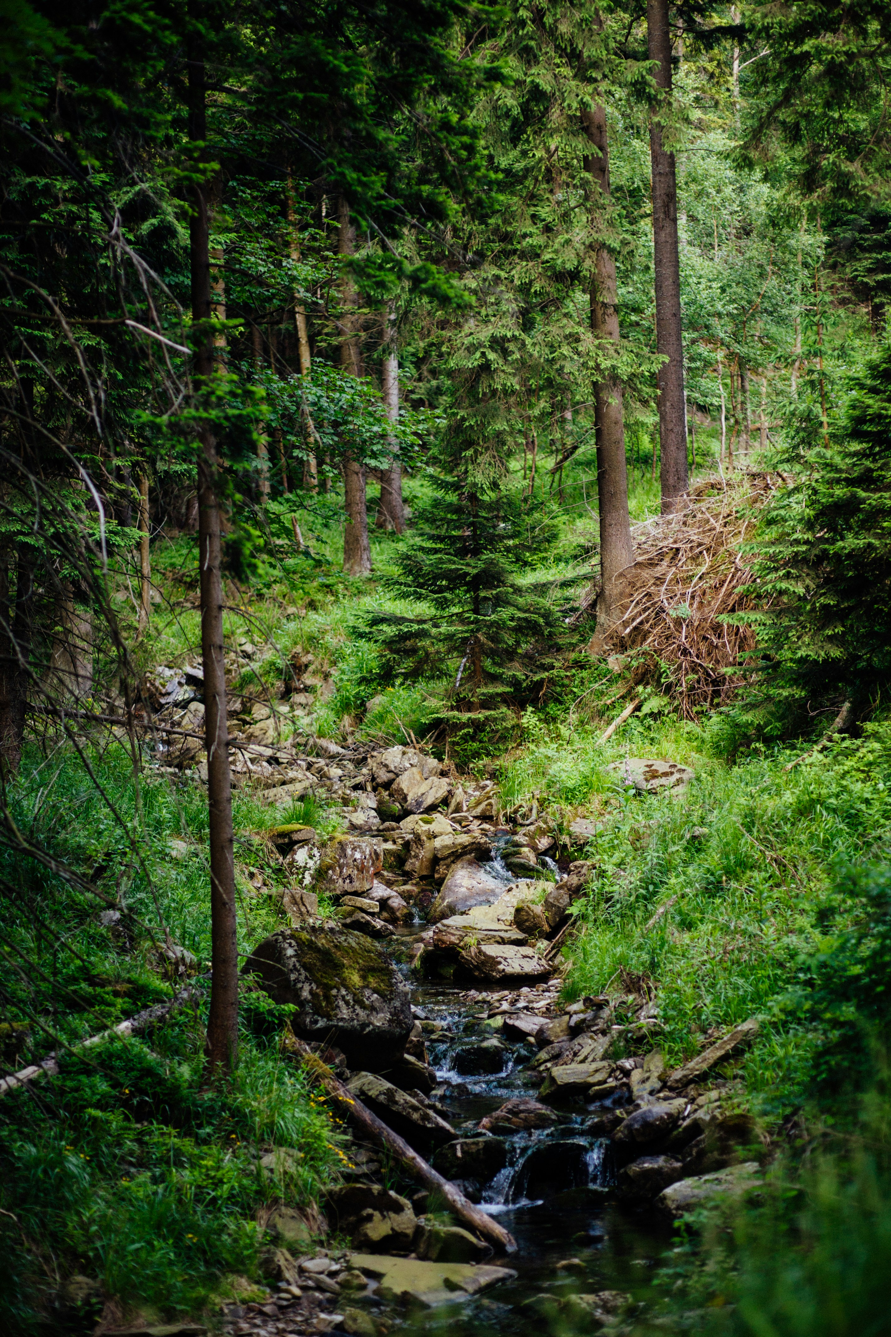 Photo by skatienstuksuma