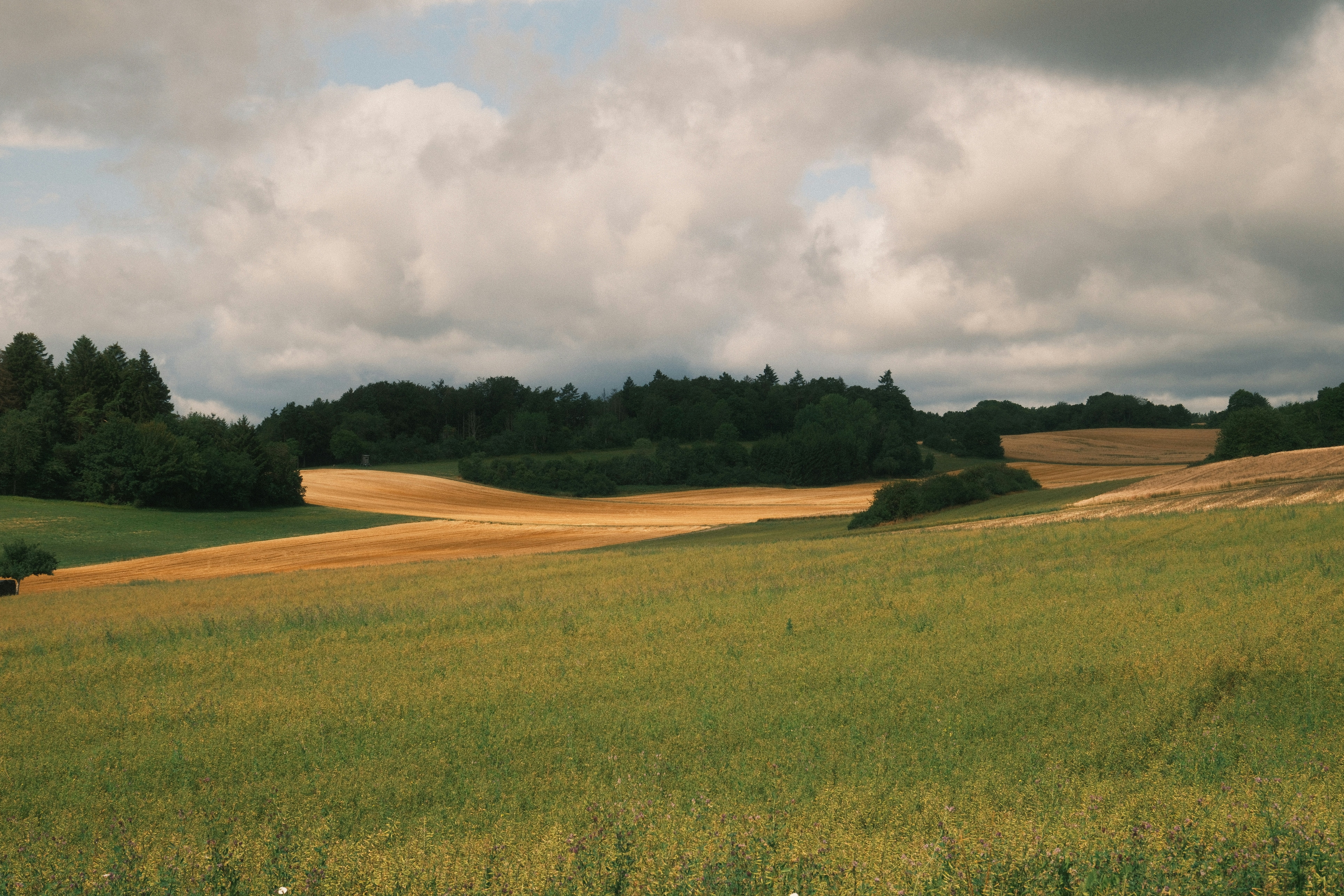 Photo by paulschnuerle