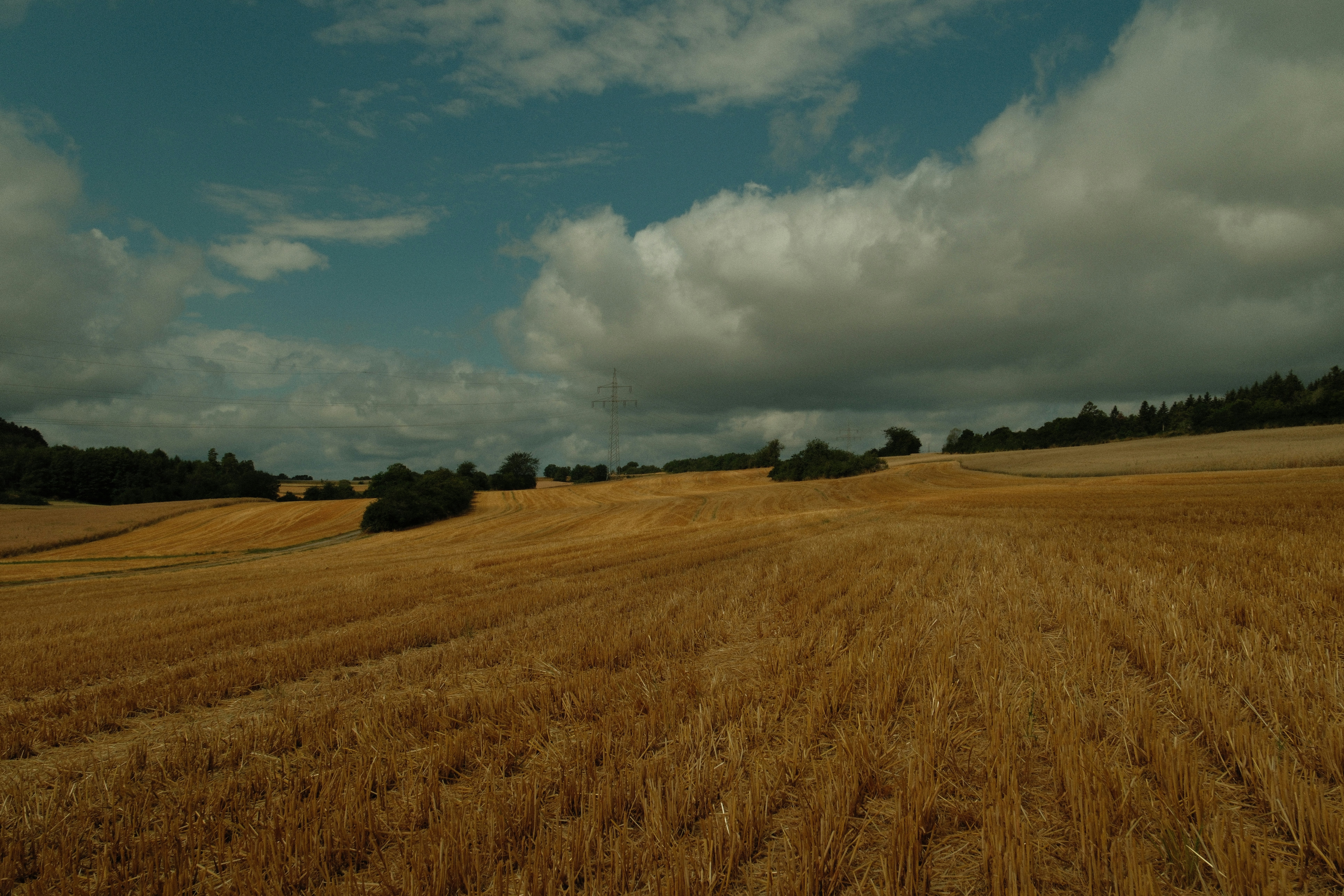 Photo by paulschnuerle