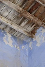 a bird is perched on the roof of a building