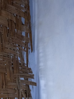 A woven structure made of interlaced, brown natural fibers, possibly bamboo or rattan, is visible next to a smooth, light-colored background wall.