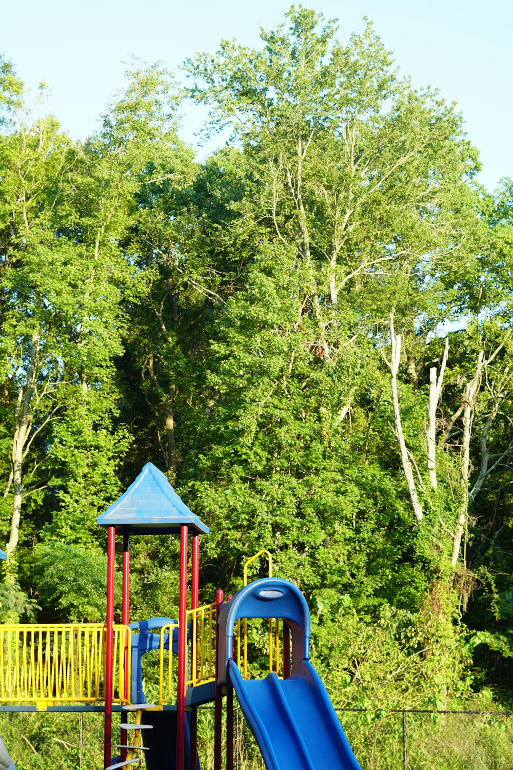 a playground with a blue slide and trees in the background