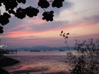 a view of a body of water at sunset