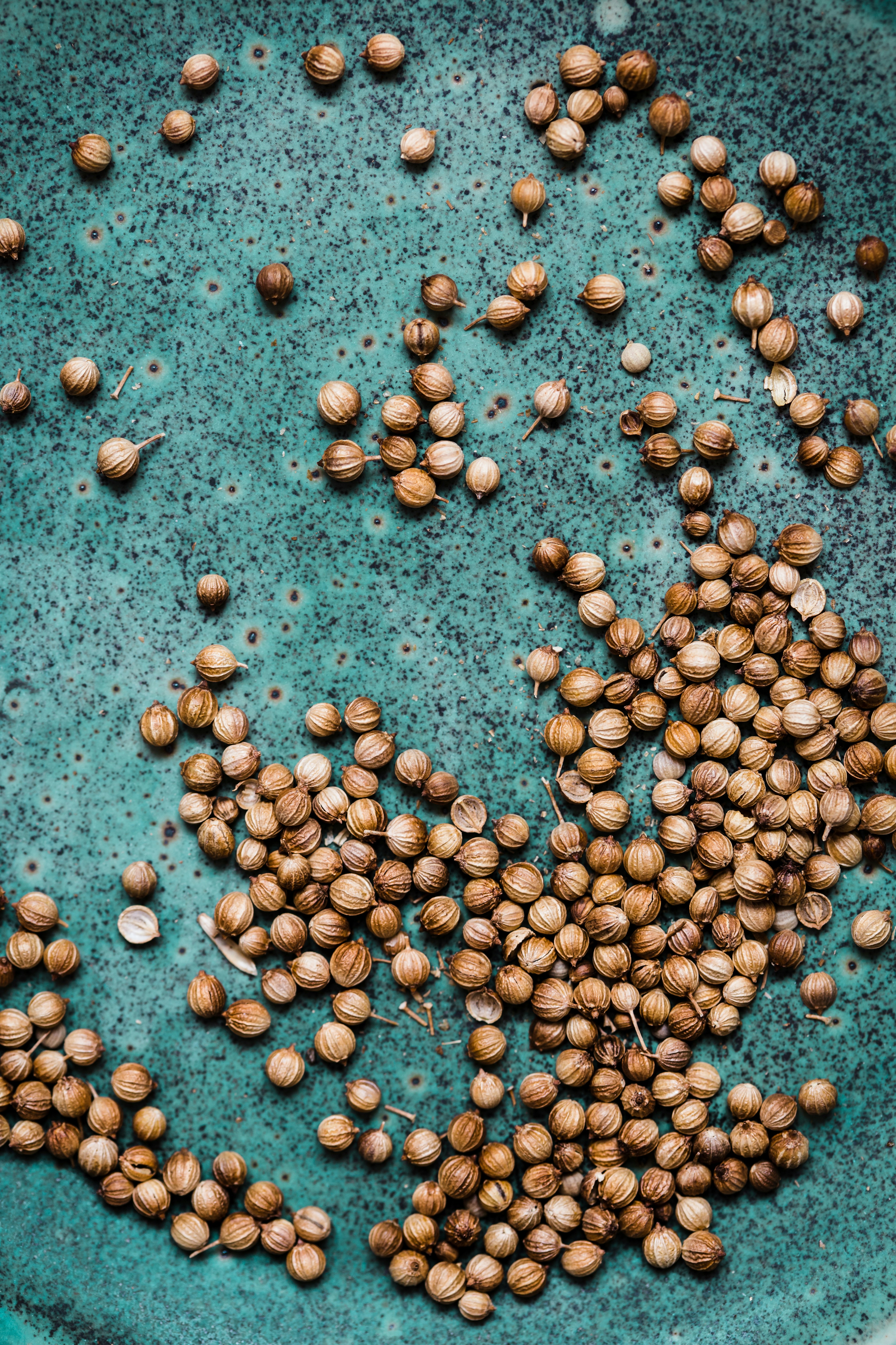 Photo by patrycjajadach