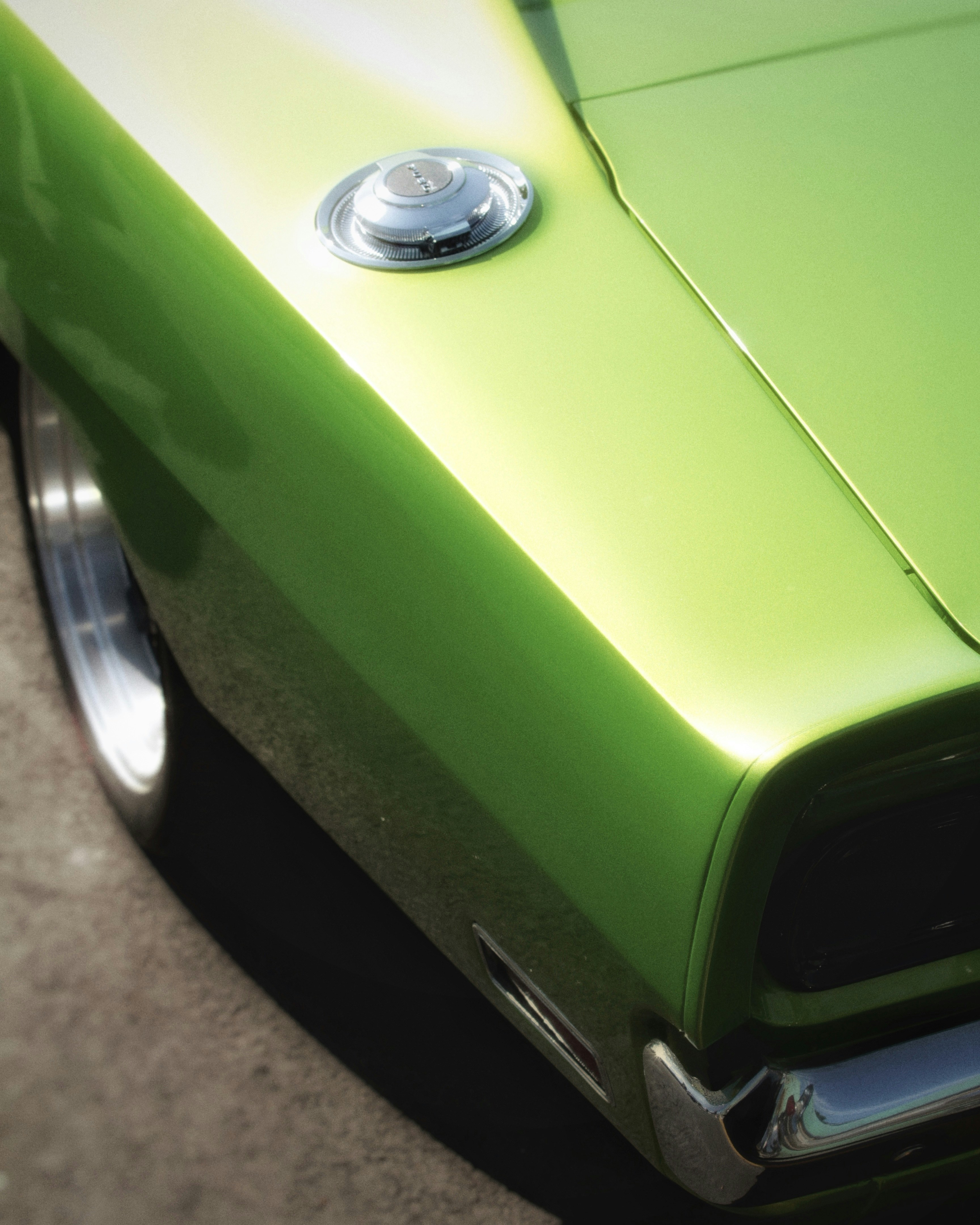 Photo by maximyuryshev