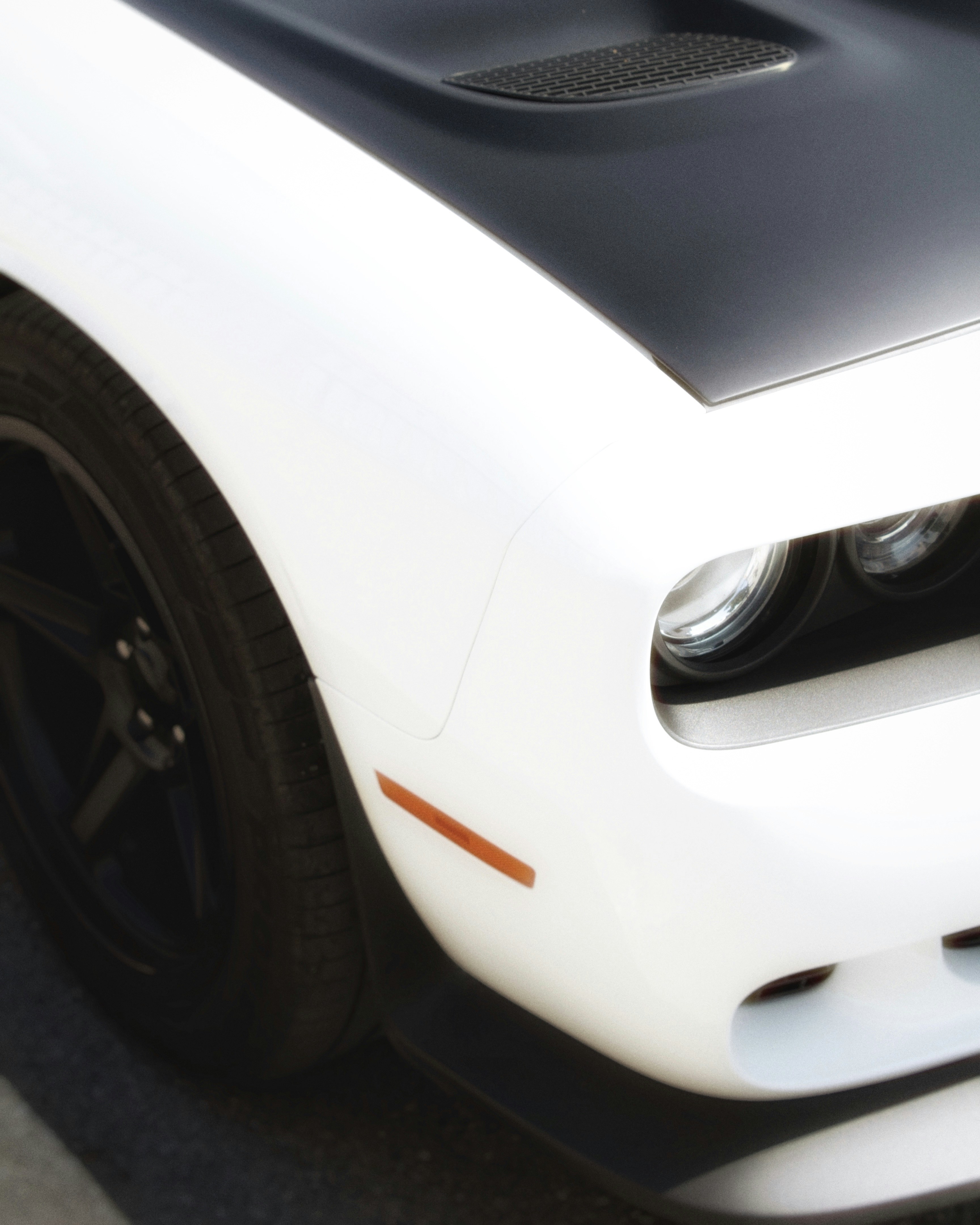 Photo by maximyuryshev