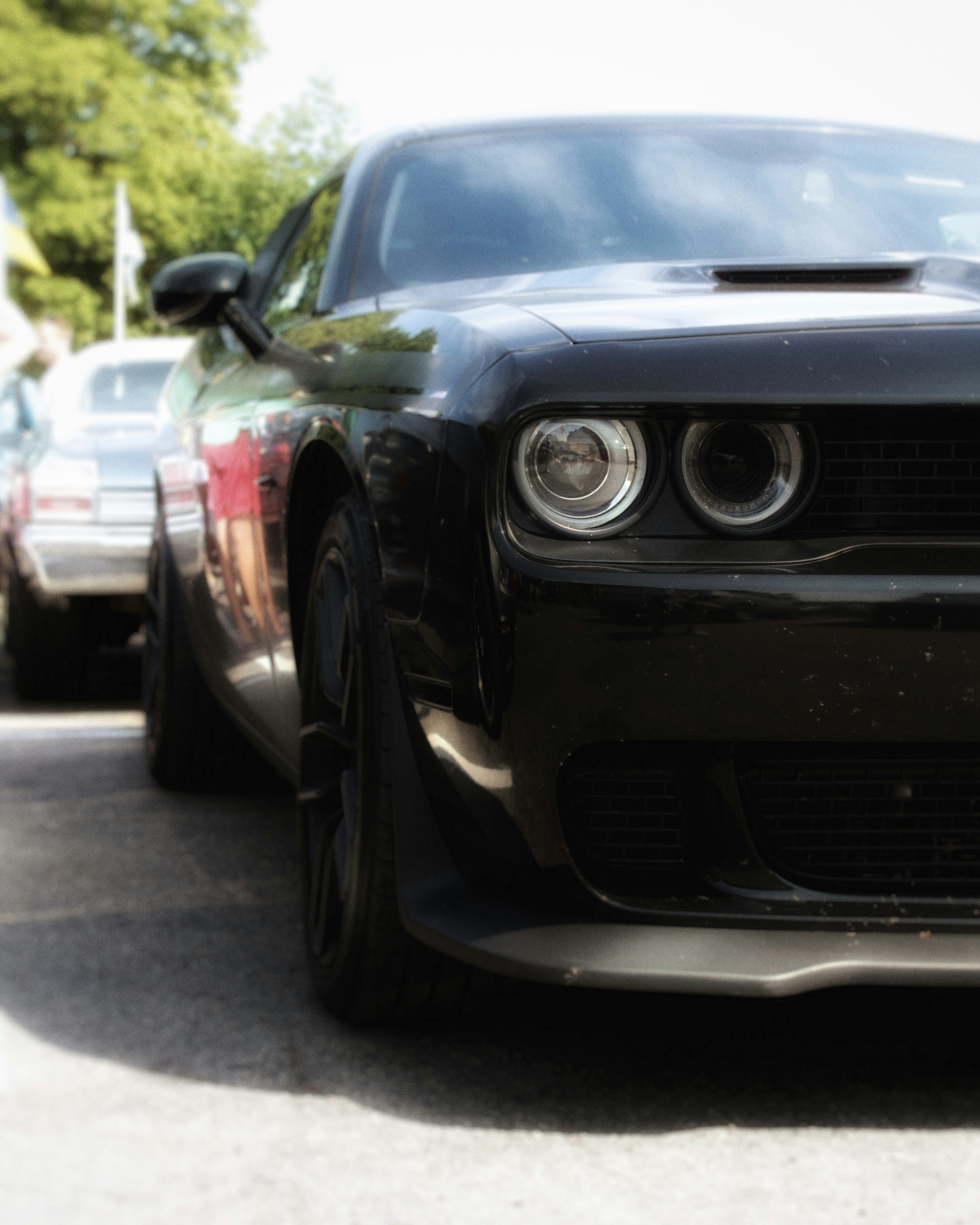 Photo by maximyuryshev