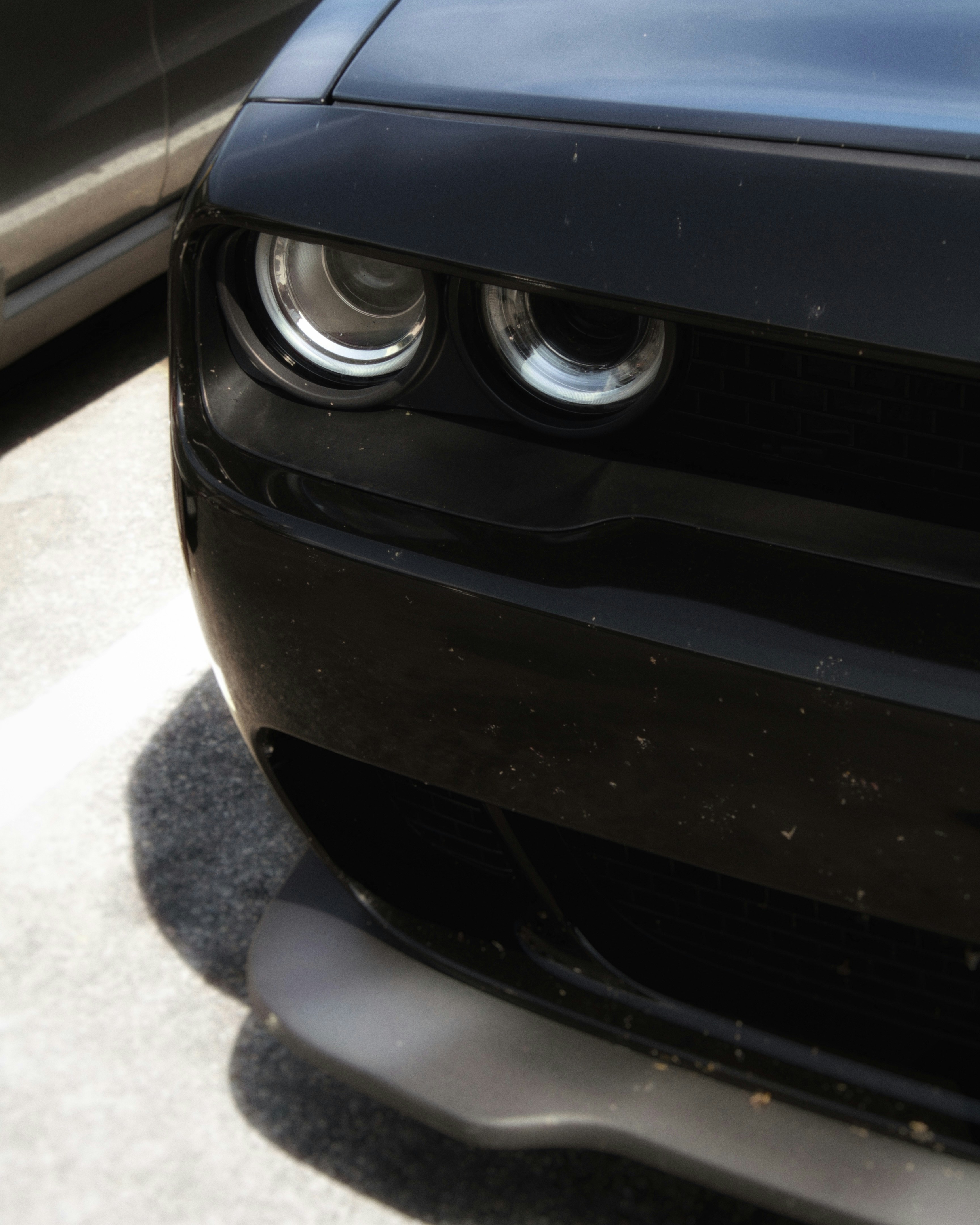 Photo by maximyuryshev