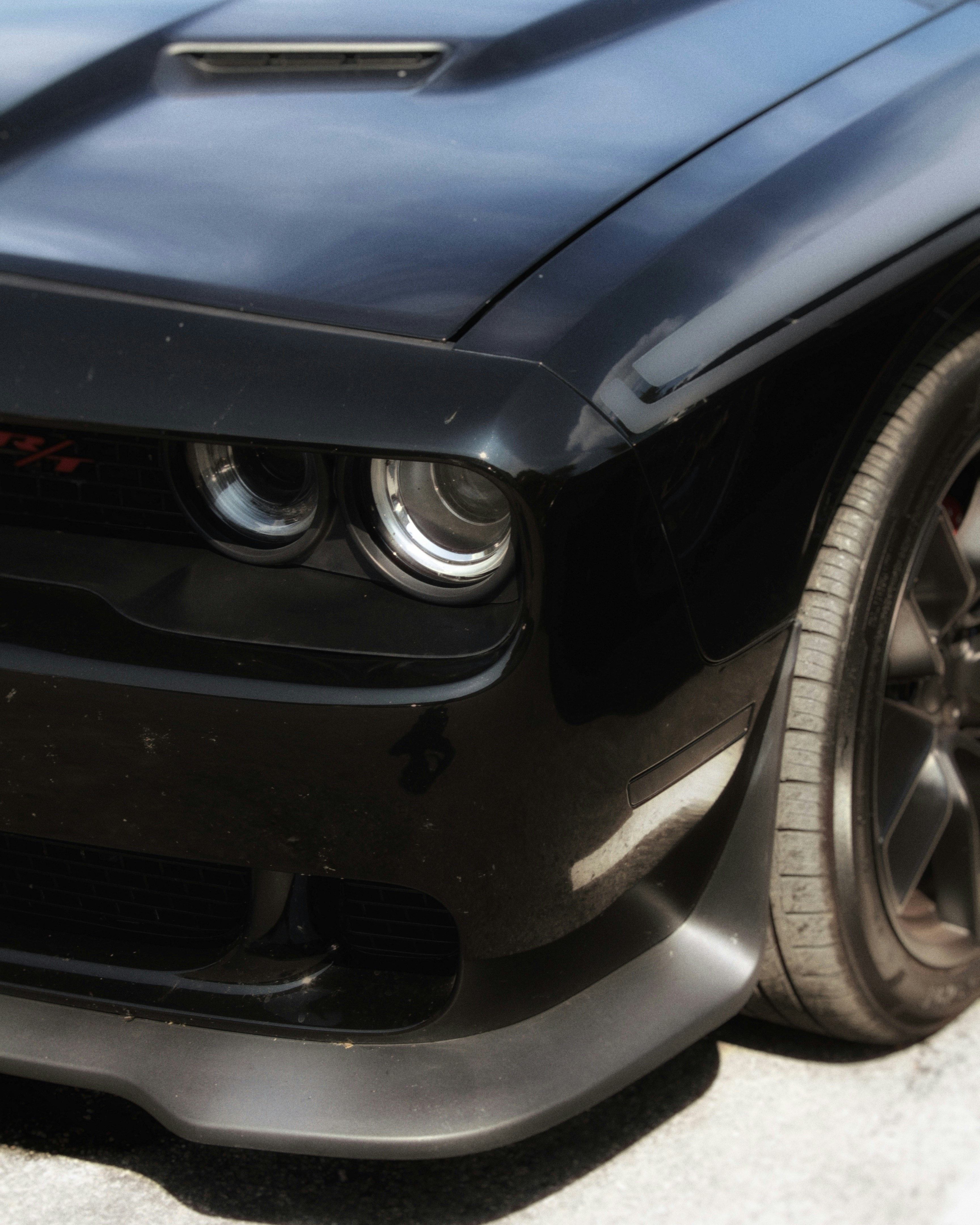 Photo by maximyuryshev