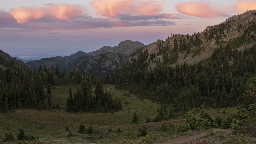 a view of a mountain range with trees in the foreground