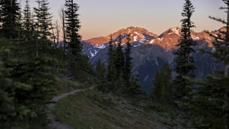 A scenic mountain landscape features a trail winding through dense forests of tall evergreen trees. The snow-capped peaks are illuminated by the warm glow of the setting sun, casting an orange-pink hue over the rocky terrain. The sky is clear, enhancing the tranquil and untouched beauty of the natural environment.