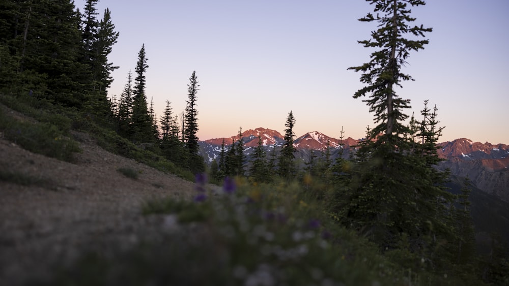 a view of a mountain range at sunset