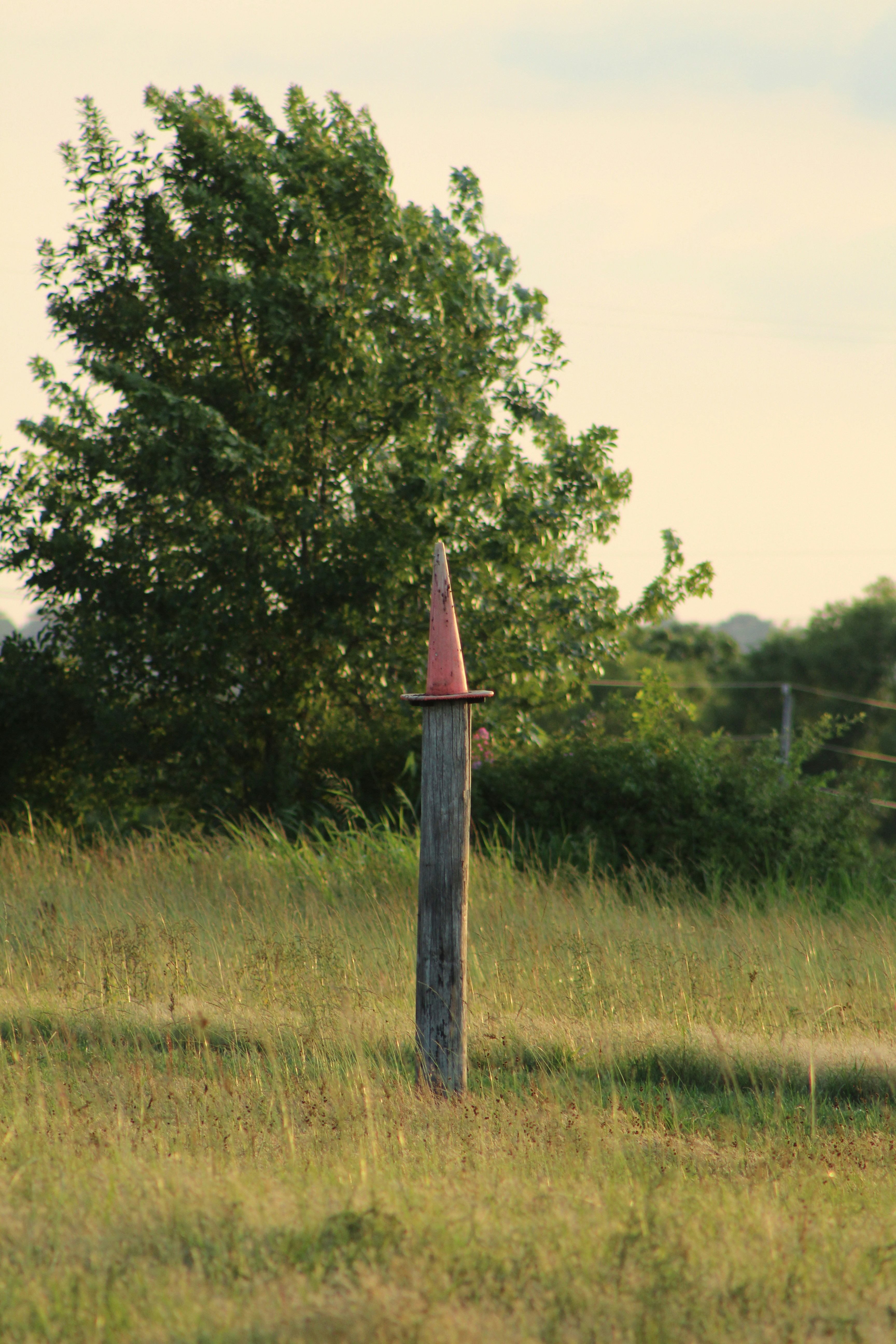 un poste en un campo con un árbol en el fondo