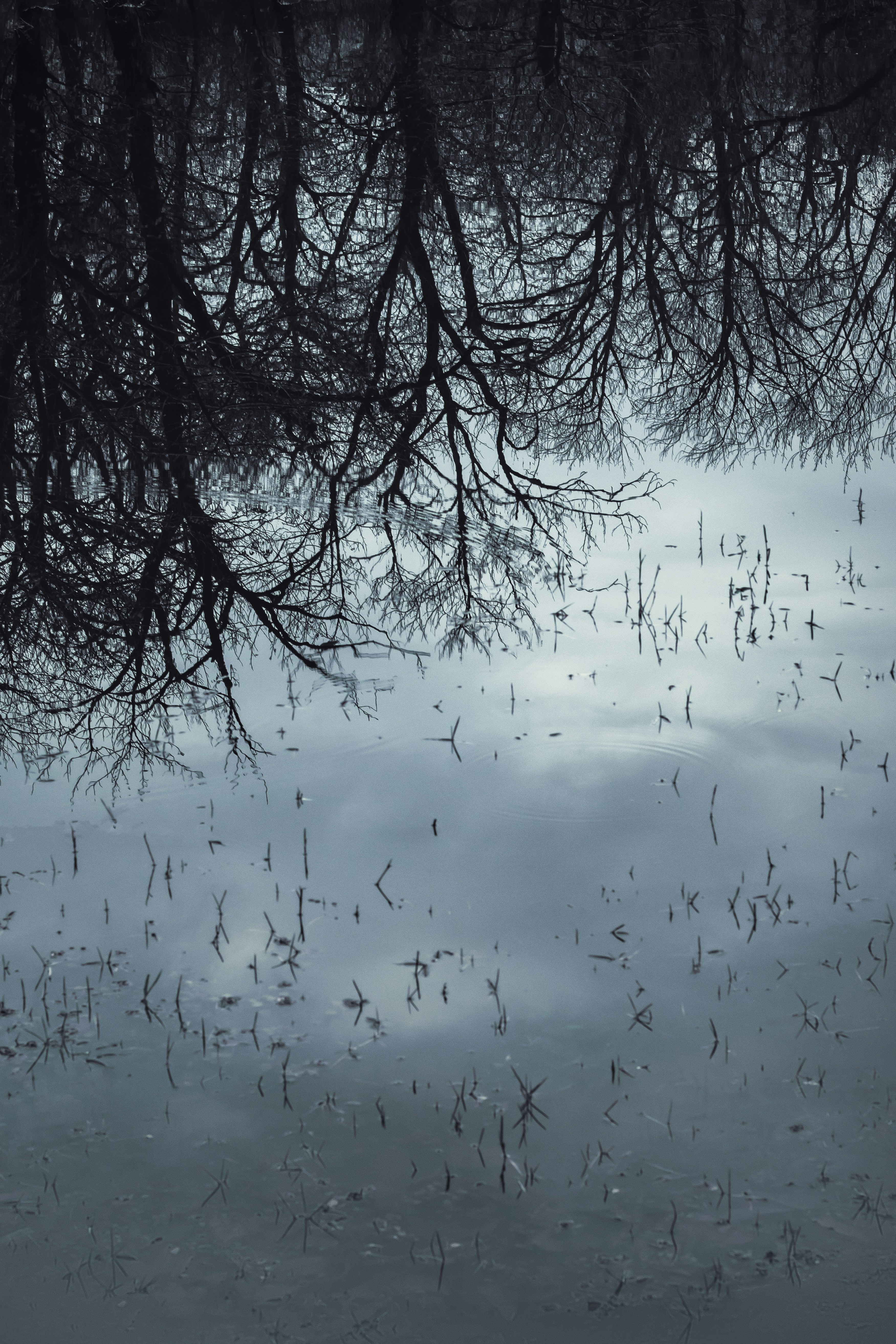 Photo by mahdibafande