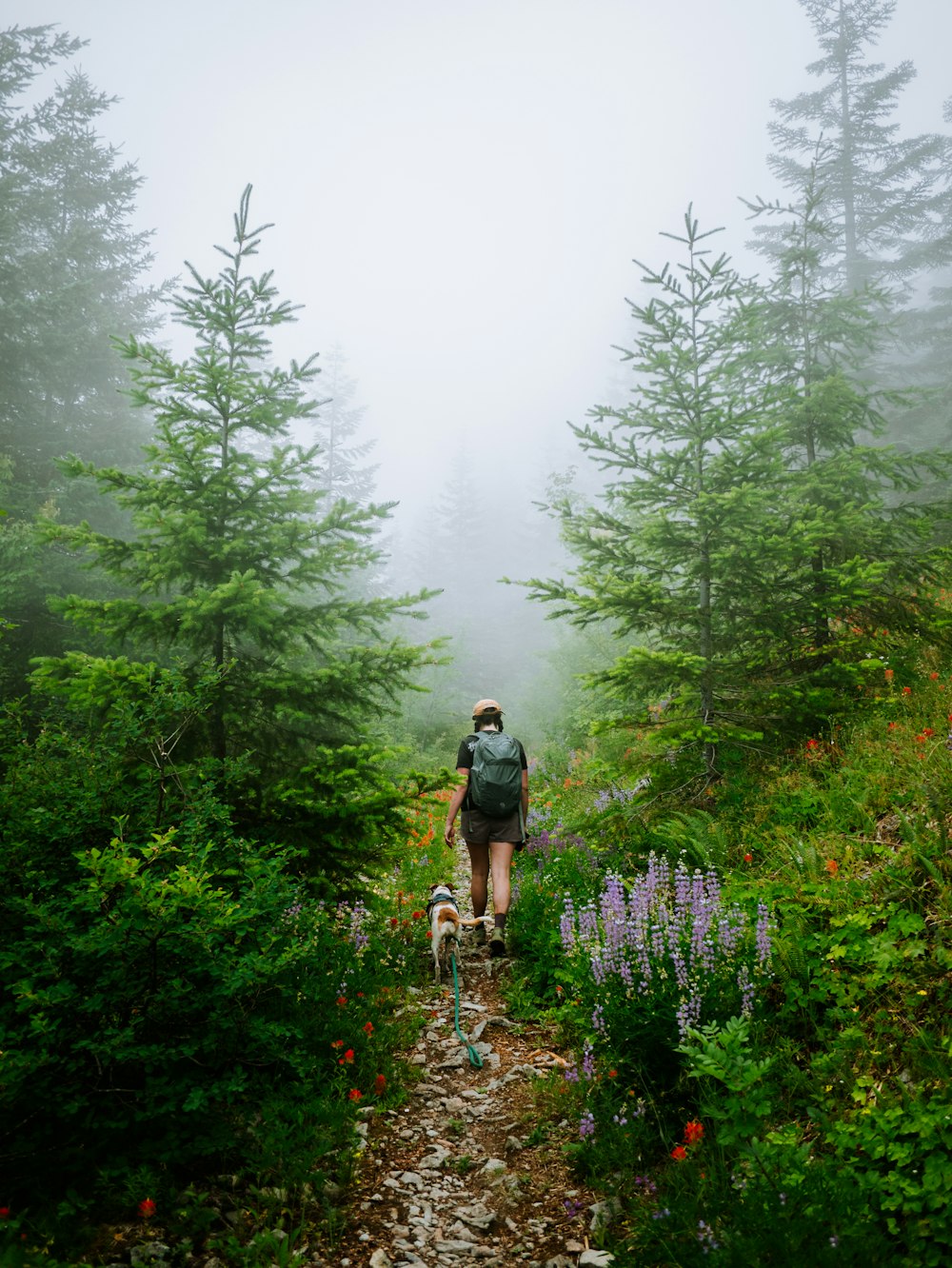 a person walking a dog on a trail in the woods