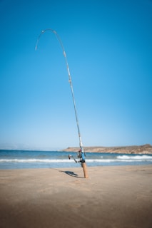 A fishing rod is firmly planted in the sand on a beach, with the ocean and waves visible in the background under a clear blue sky.