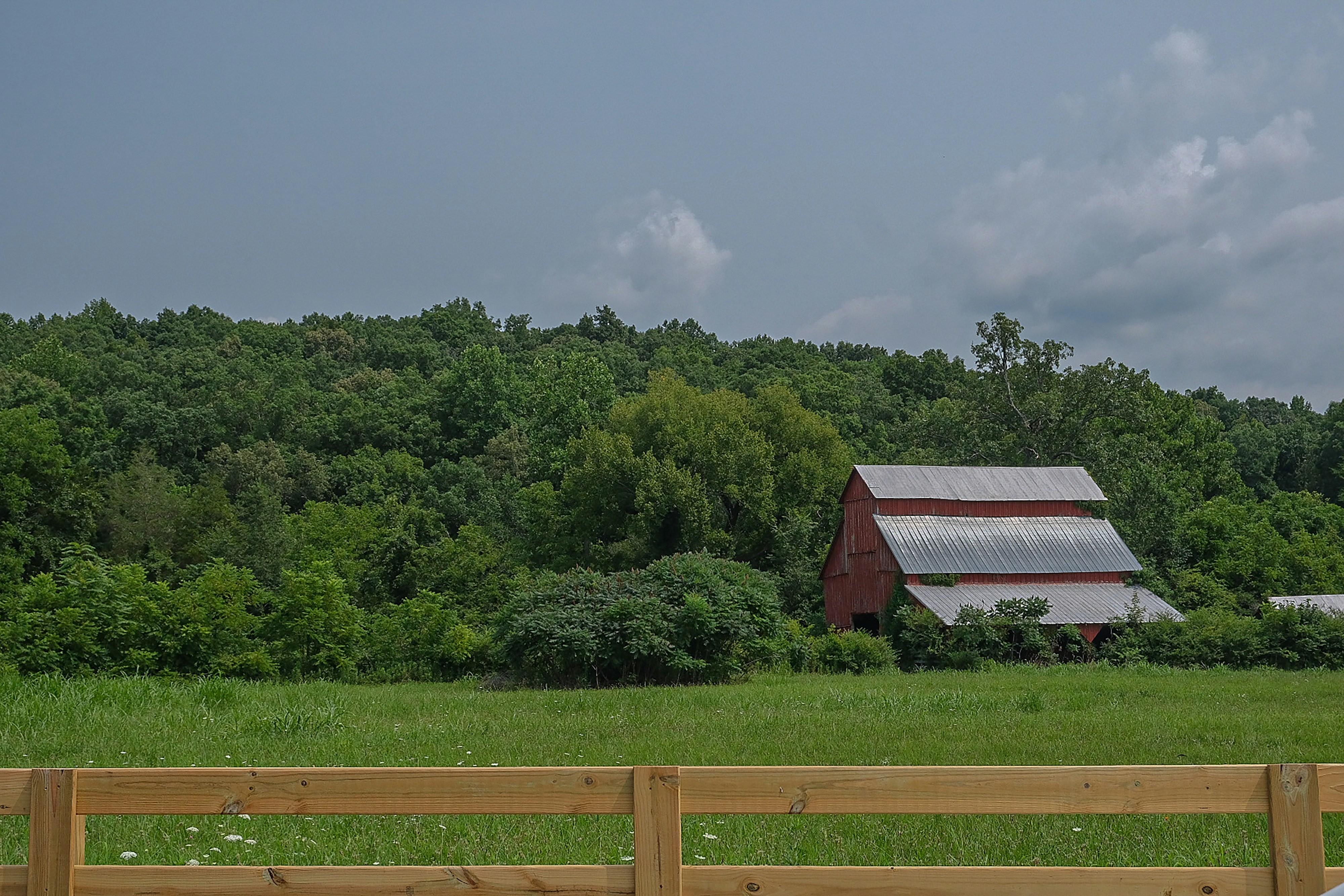 Photo by cestmoisheedy