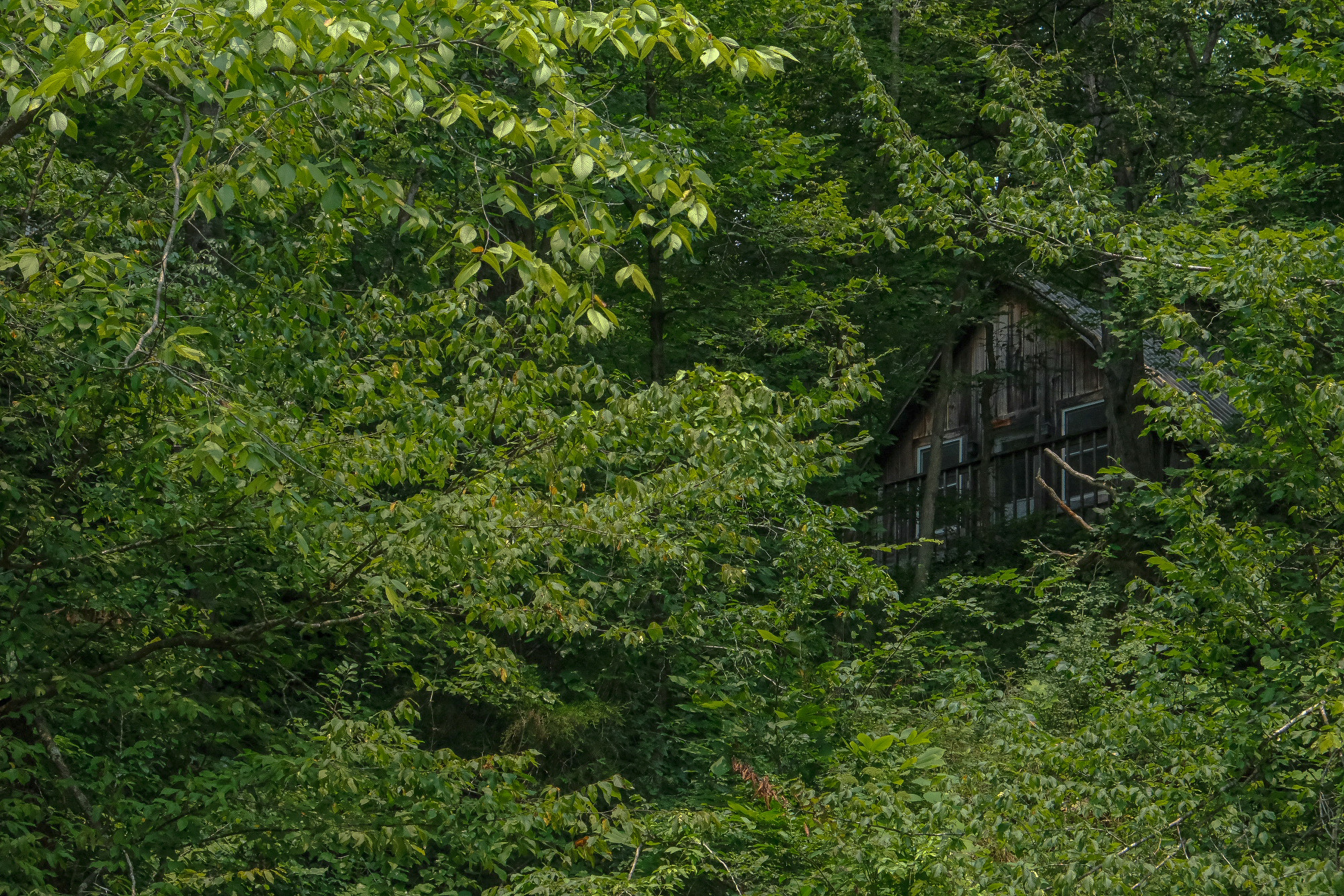 Photo by cestmoisheedy