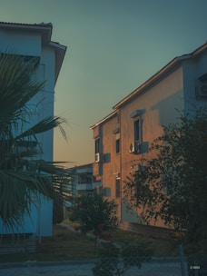 Two residential buildings are pictured with the glow of the setting sun casting warm light on their walls. A large palm tree fills the left side of the image, while shrubs and greenery are visible in the foreground. The sky has a gradient transitioning from light to dusky blue.