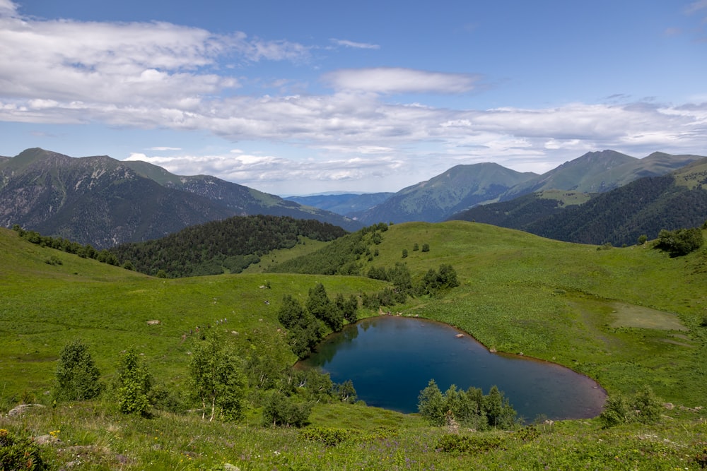 a small pond in the middle of a grassy field