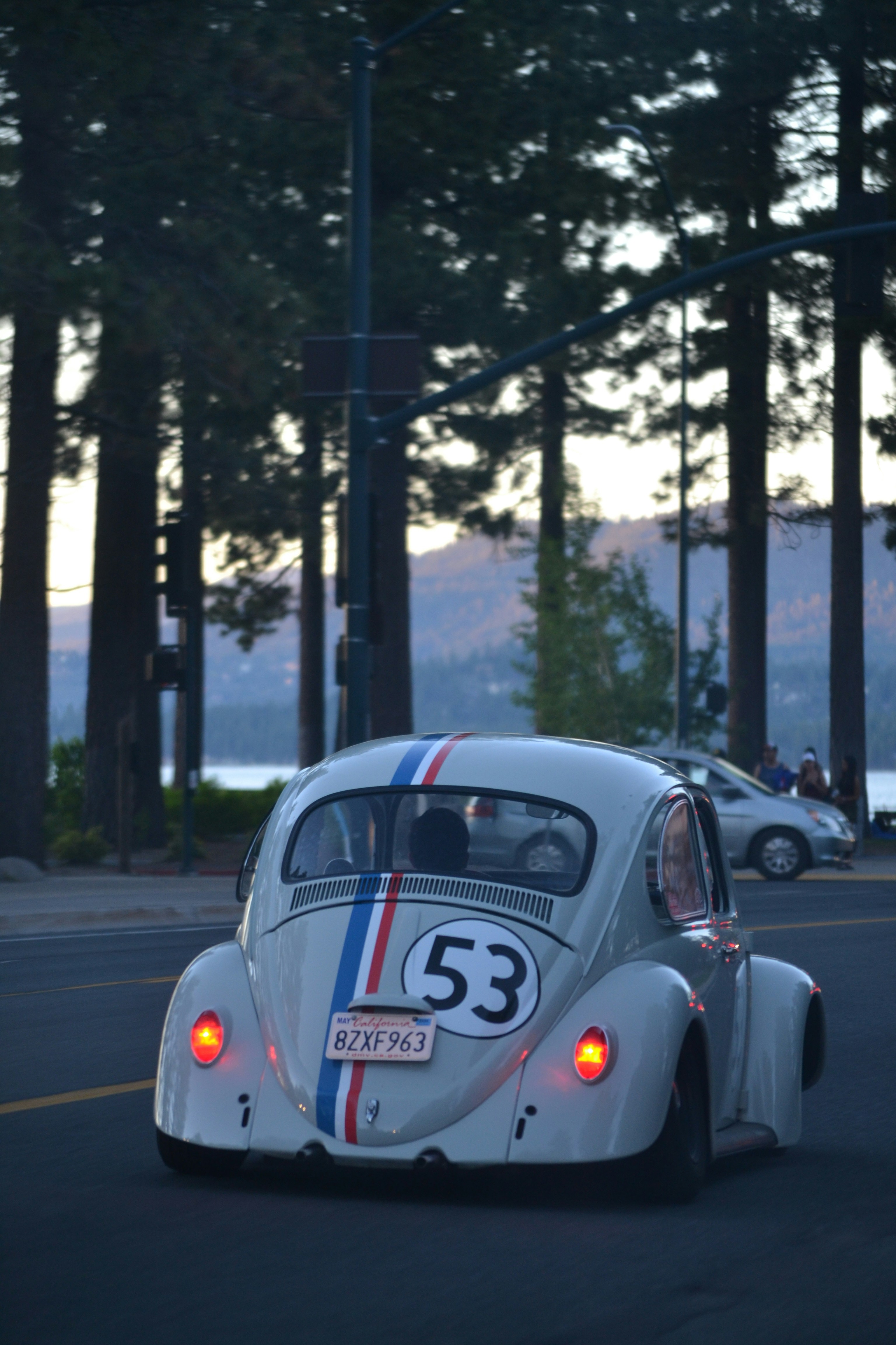 a white car driving down a street next to tall trees