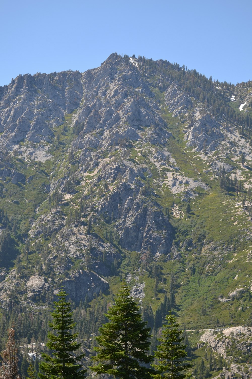 a very tall mountain with some trees in front of it
