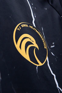 Close-up of the Felipaos FC swan mascot emblem on a white and blue jersey.