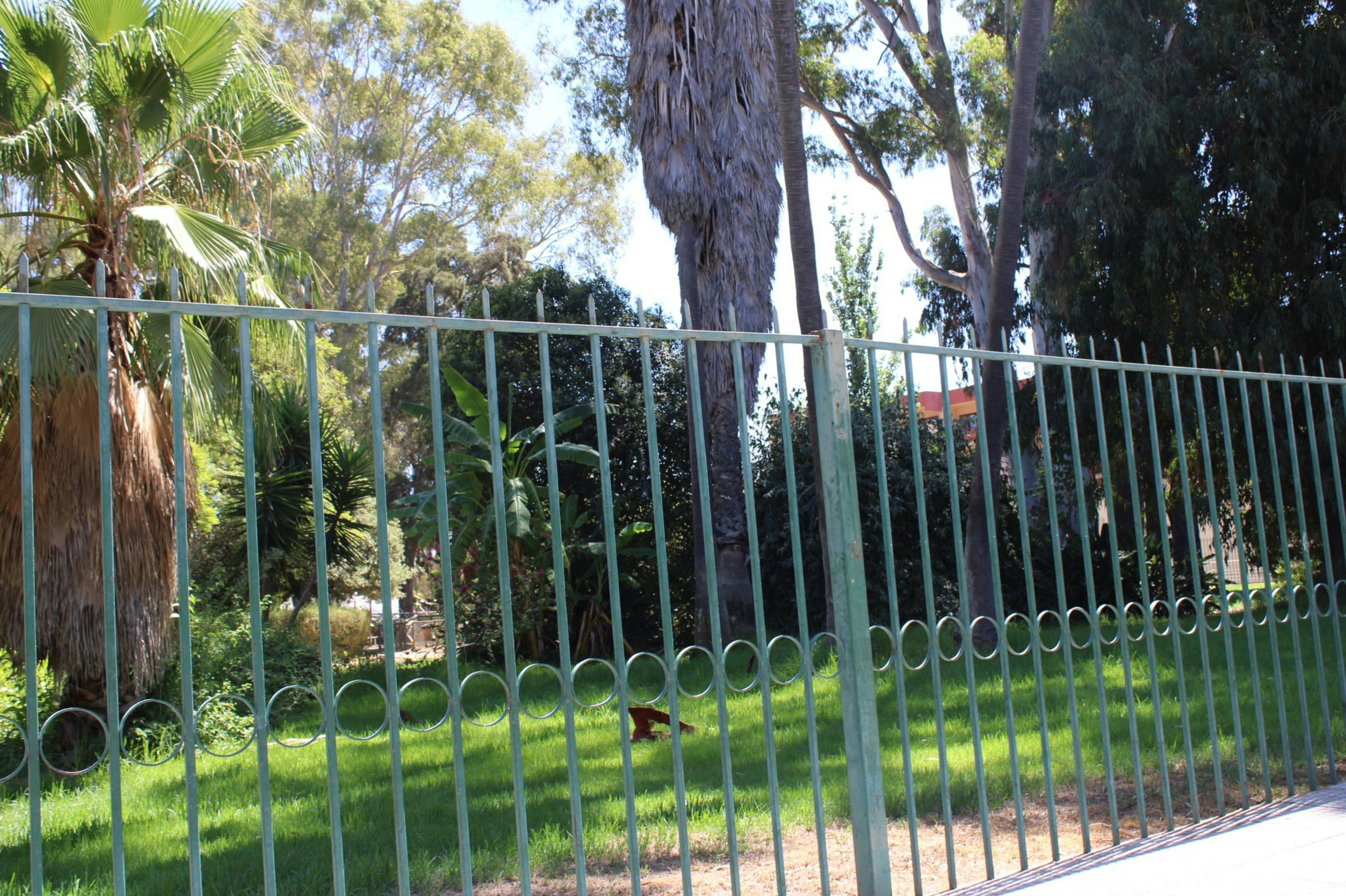 Clôture en acier robuste