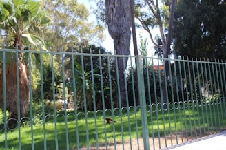 A tall metal fence with vertical bars and circular designs stands in front of a lush garden. Behind the fence are various trees, including palm trees and other leafy trees, providing a dense green backdrop. The sun casts shadows, suggesting it is a bright, sunny day.