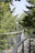 Visitors walking on elevated trails through dense tropical rainforest with vibrant wildlife.